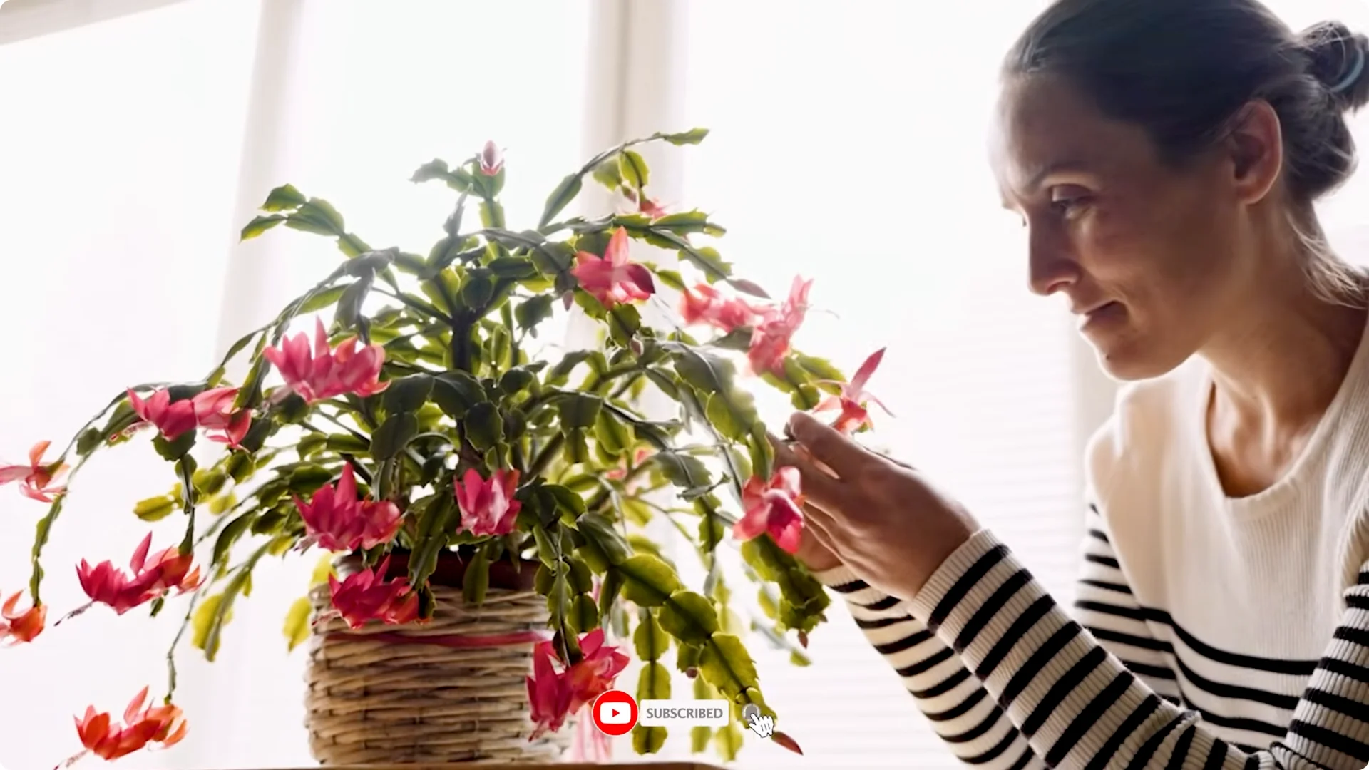 10 Mysterious Indoor Plants from the Amazon Jungle screenshot 4