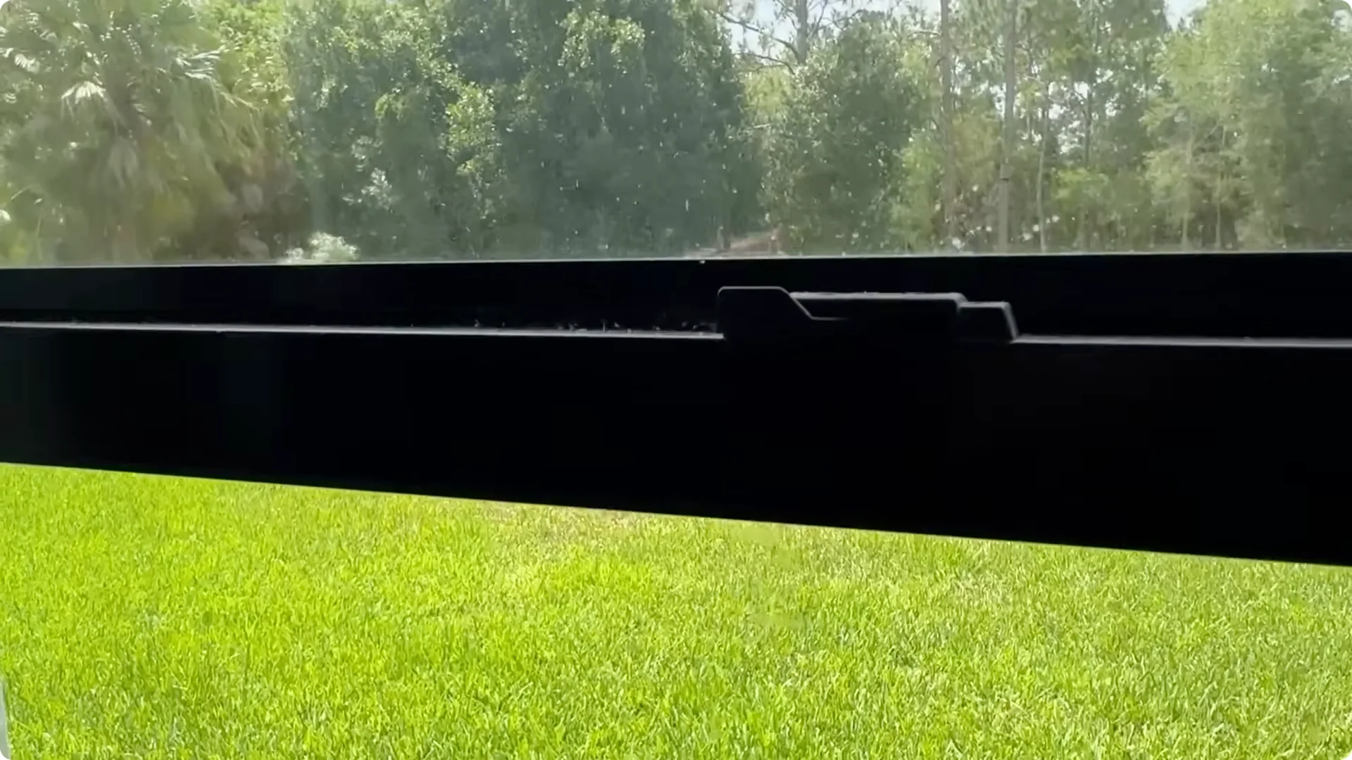 7 Essential Jade Plant Care Tips You Should Discover screenshot 2