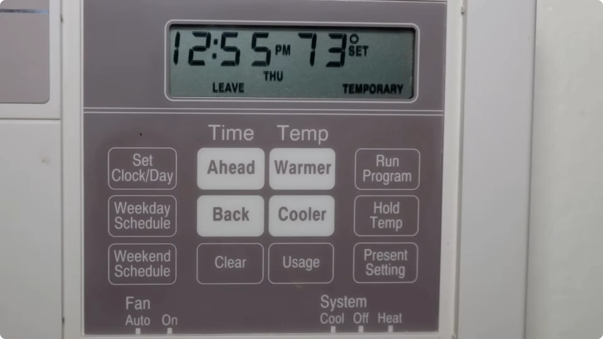 7 Essential Jade Plant Care Tips You Should Discover screenshot 3