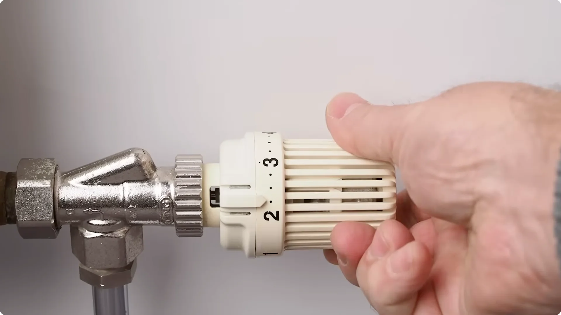 7 Essential Jade Plant Care Tips You Should Discover screenshot 4