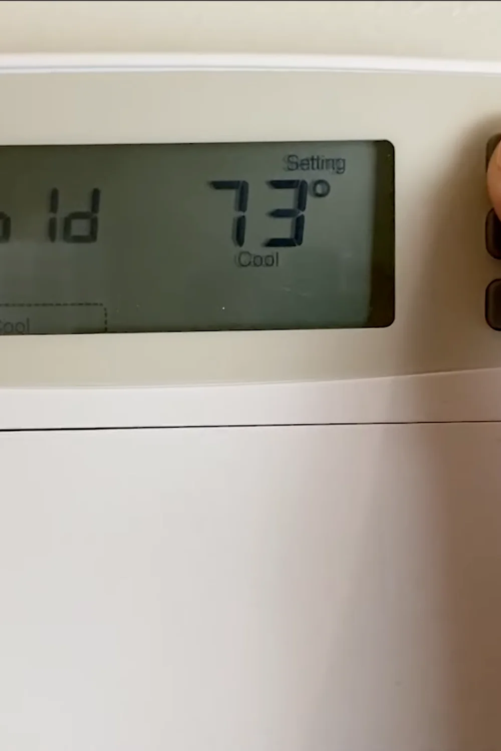 7 Essential Money Tree Care Tips You Should Know screenshot 11