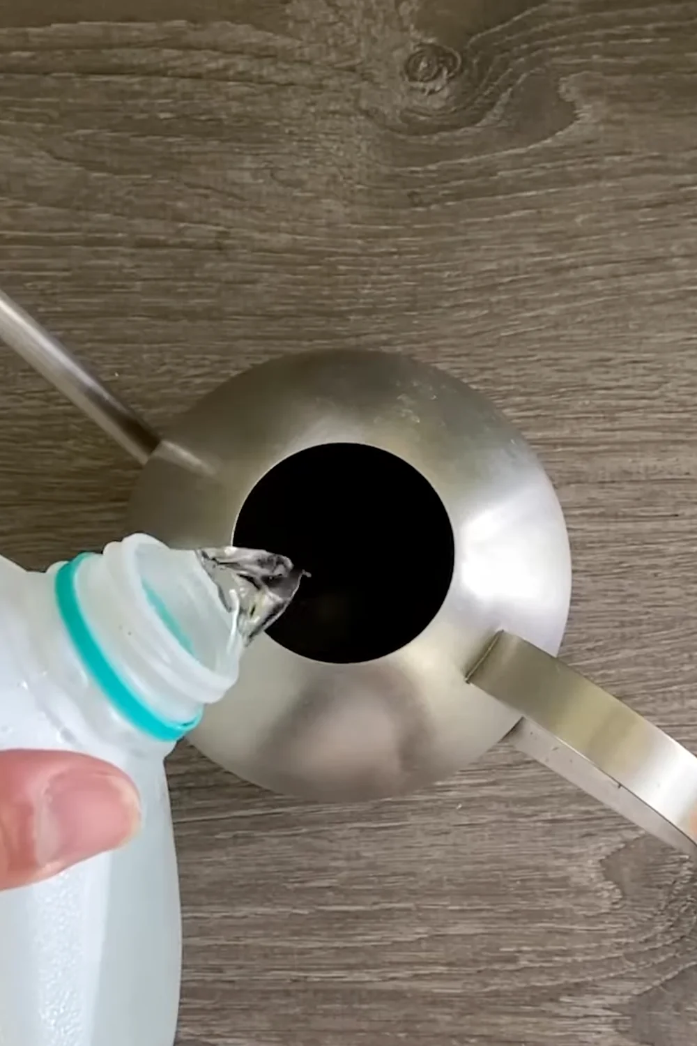 7 Essential Money Tree Care Tips You Should Know screenshot 17