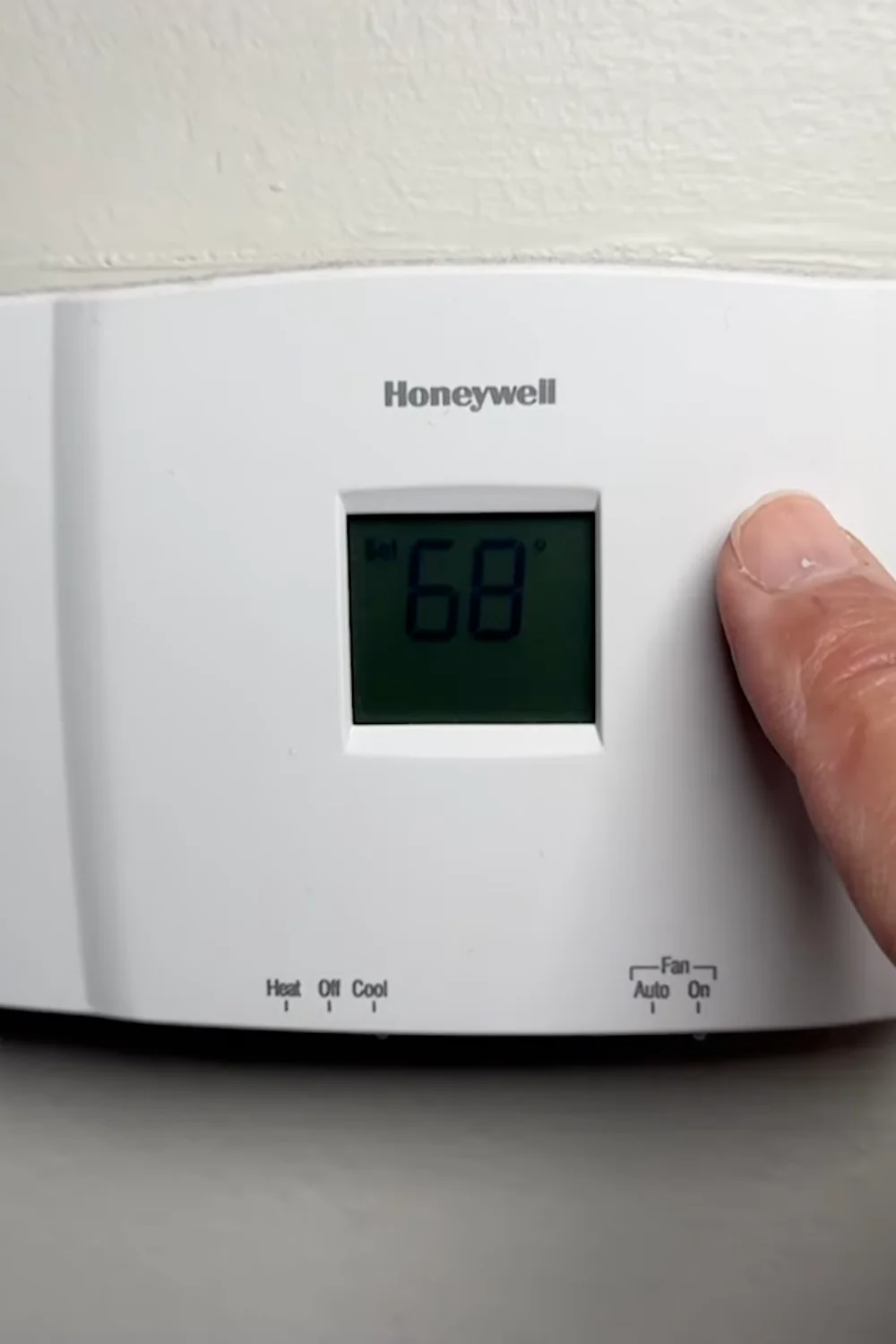 7 Essential Succulent Care Tips Every Plant Lover Should Know screenshot 3