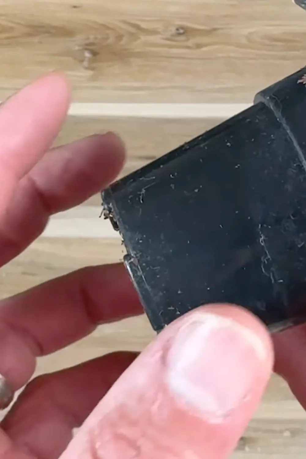 7 Essential Succulent Care Tips Every Plant Lover Should Know screenshot 4