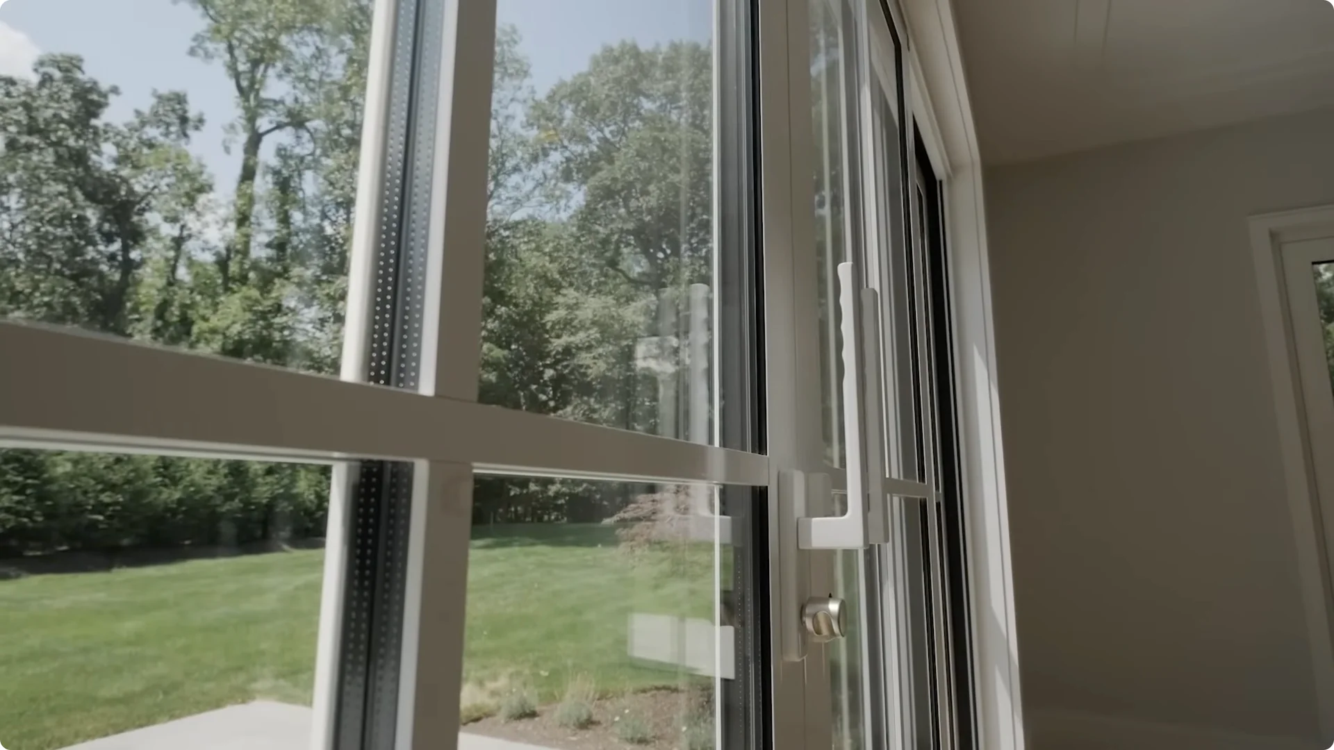 7 Essential ZZ Plant Care Tips You Haven't Tried Yet screenshot 3