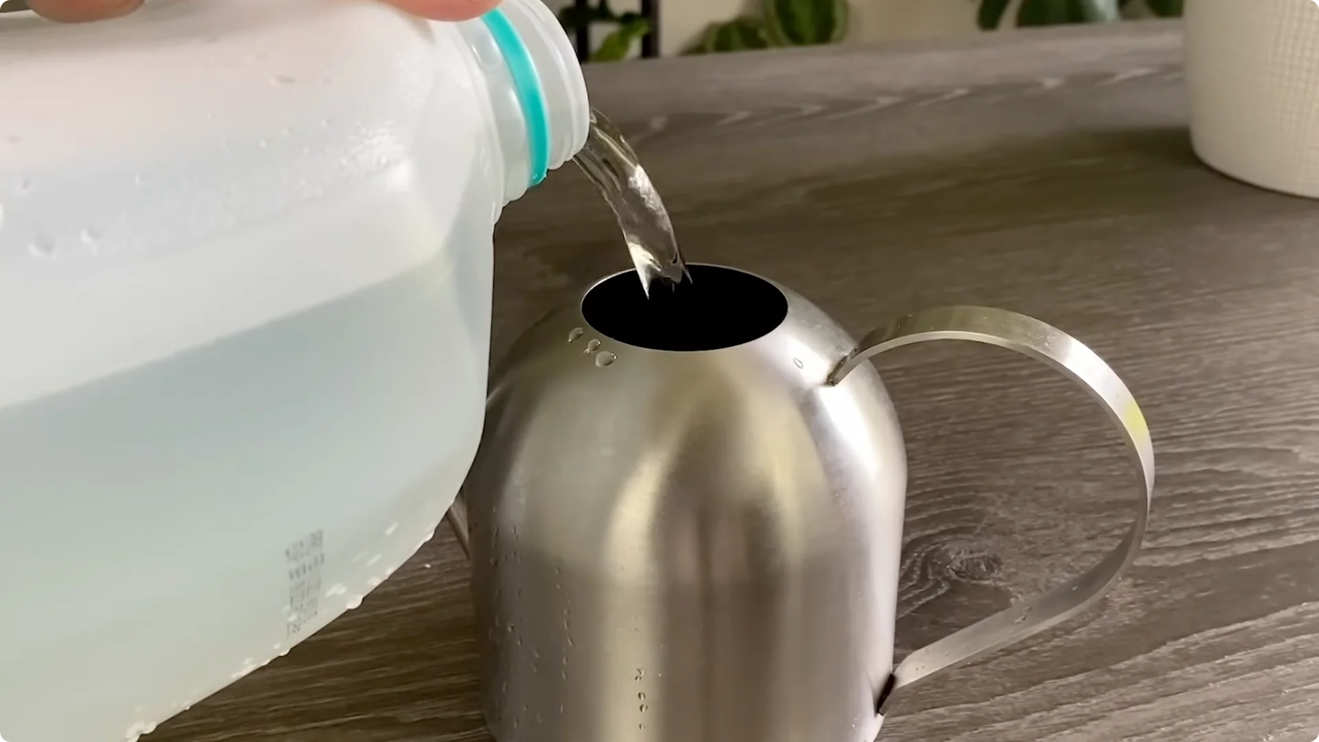 7 Essential ZZ Plant Care Tips You Haven't Tried Yet screenshot 9