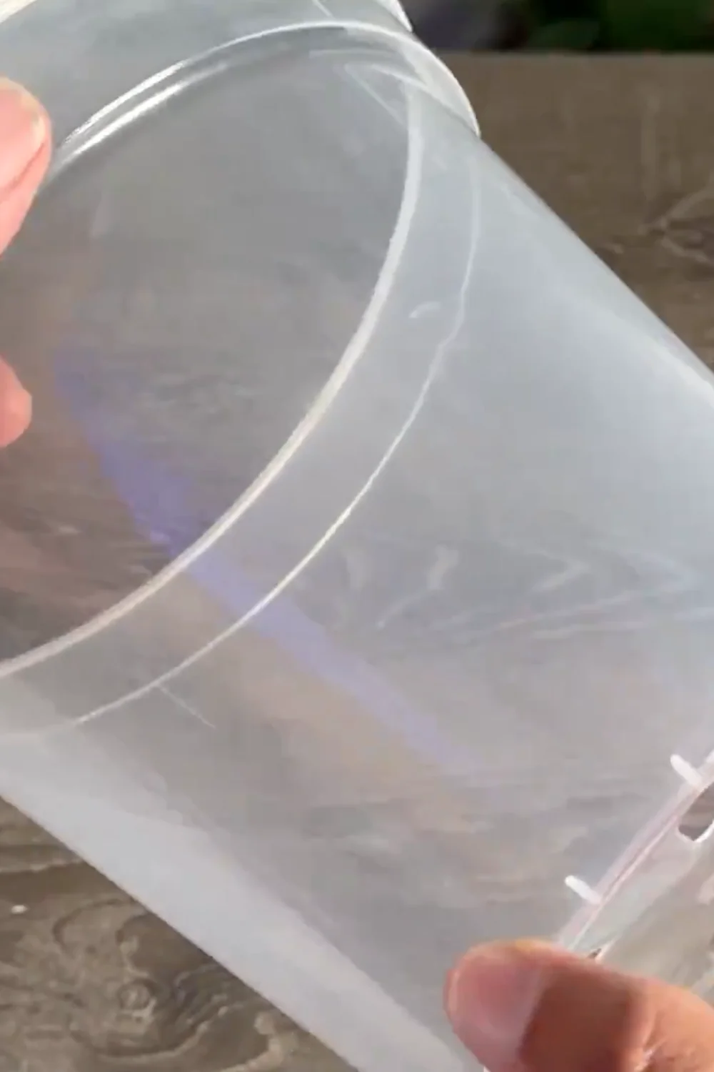 Are You Making These Common Snake Plant Care Mistakes? screenshot 3