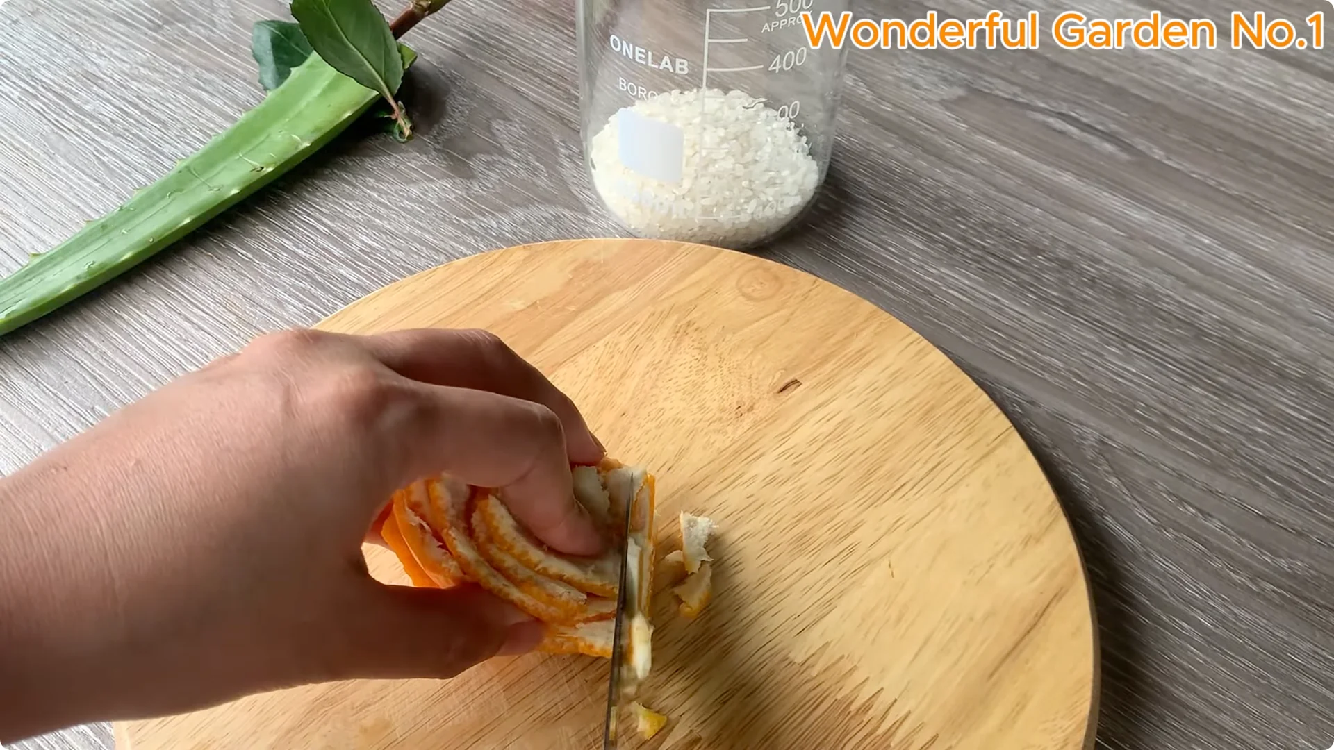 Discover a Simple, Unique Way to Propagate Roses at Home screenshot 3