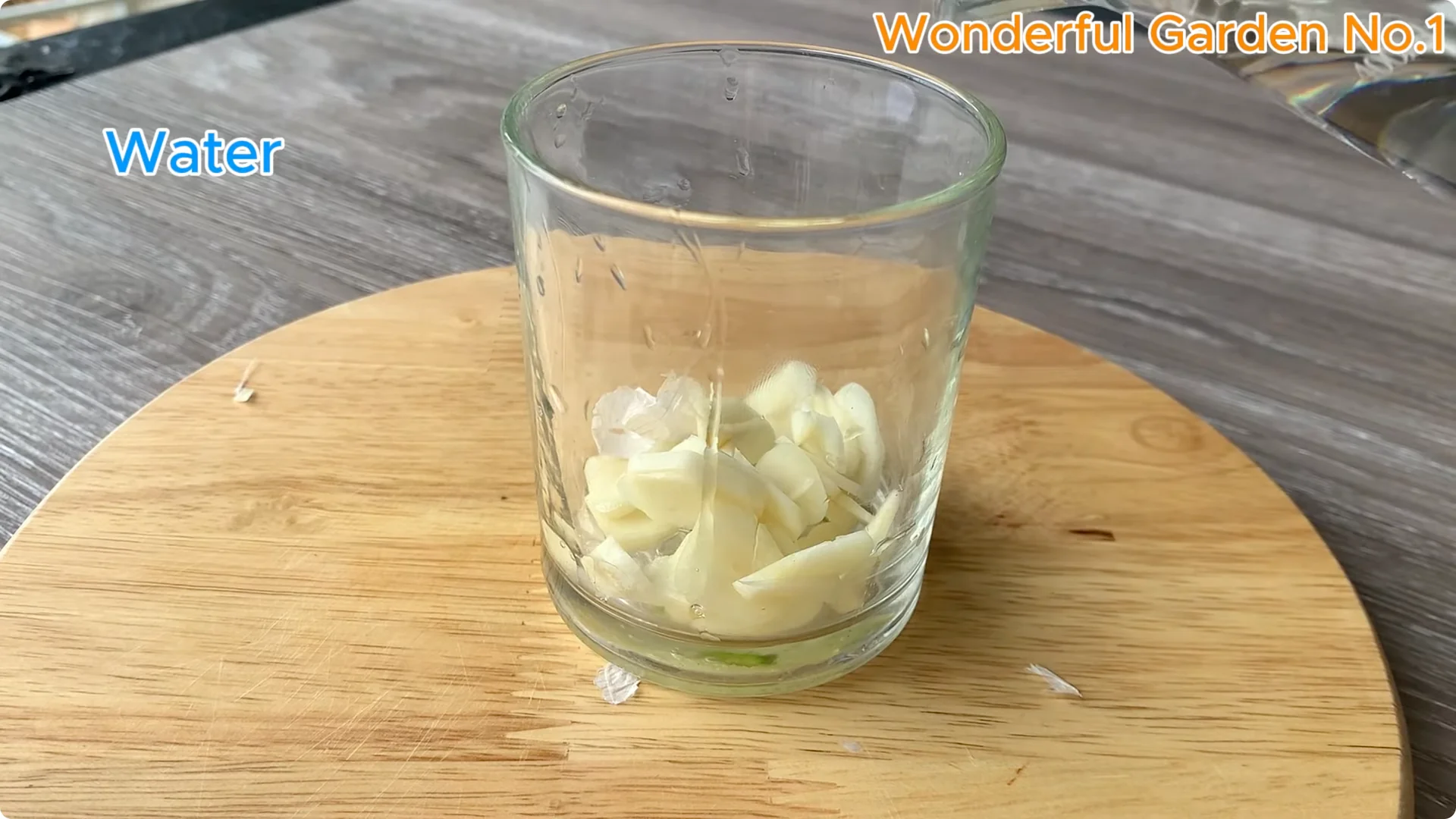 Discover a Simple, Unique Way to Propagate Roses at Home screenshot 4