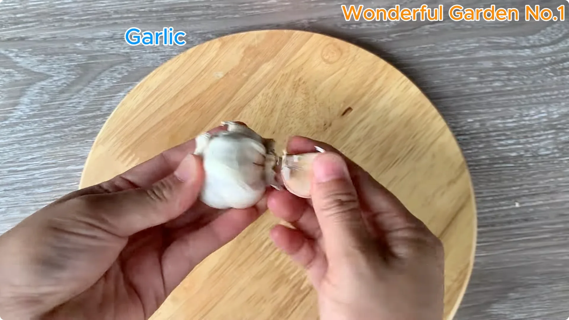 Discover a Simple, Unique Way to Propagate Roses at Home screenshot 5