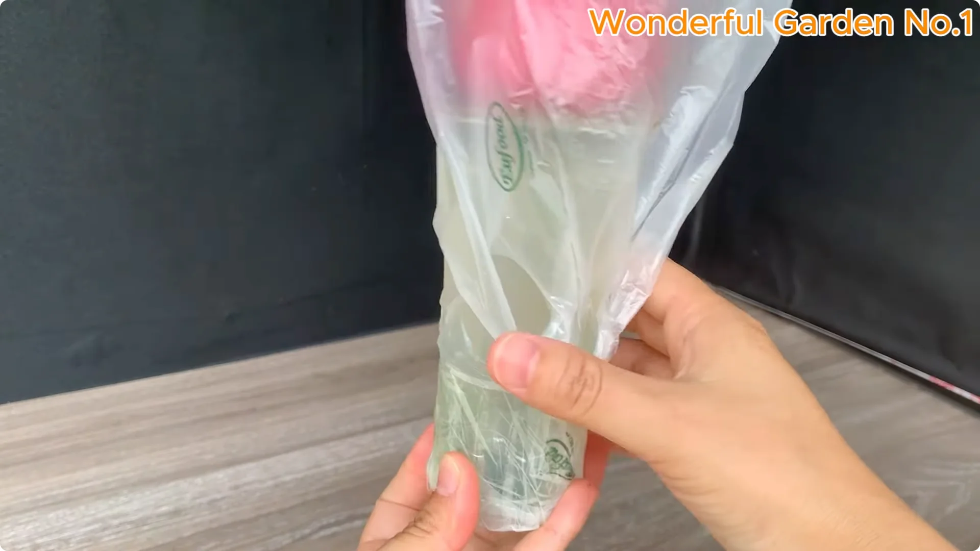 Discover a Simple, Unique Way to Propagate Roses at Home screenshot 7