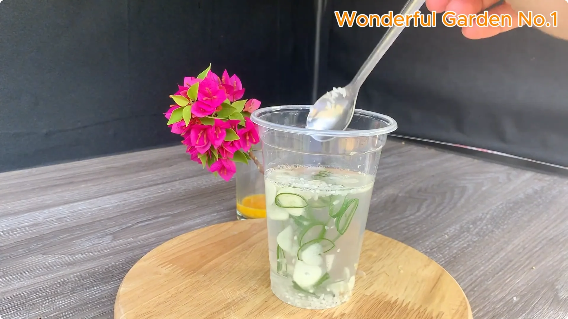 Discover a Simple Yet Unique Method to Propagate Bougainvillea screenshot 5