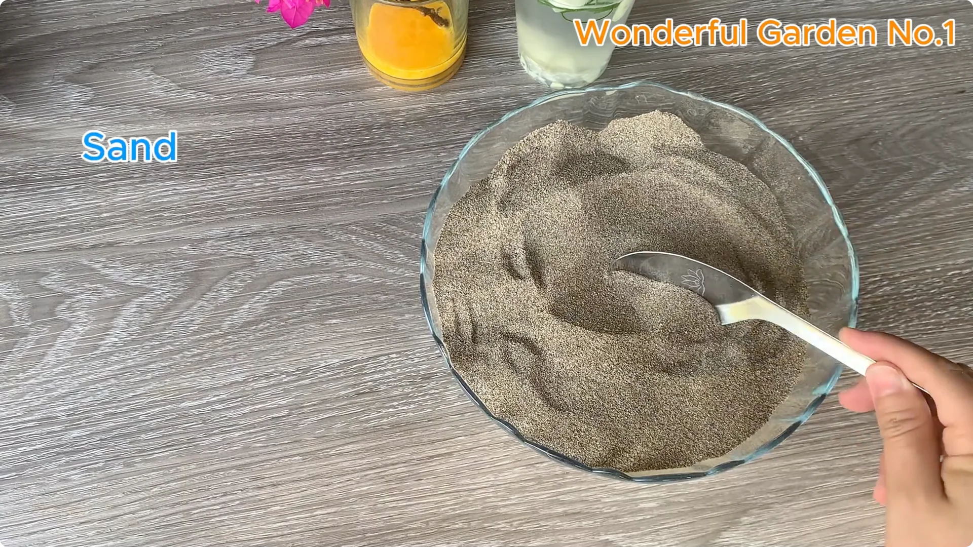 Discover a Simple Yet Unique Method to Propagate Bougainvillea screenshot 6