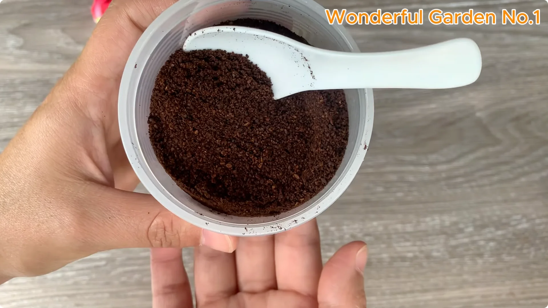 Discover This Unique Rose Propagation Method for Home Gardens screenshot 3