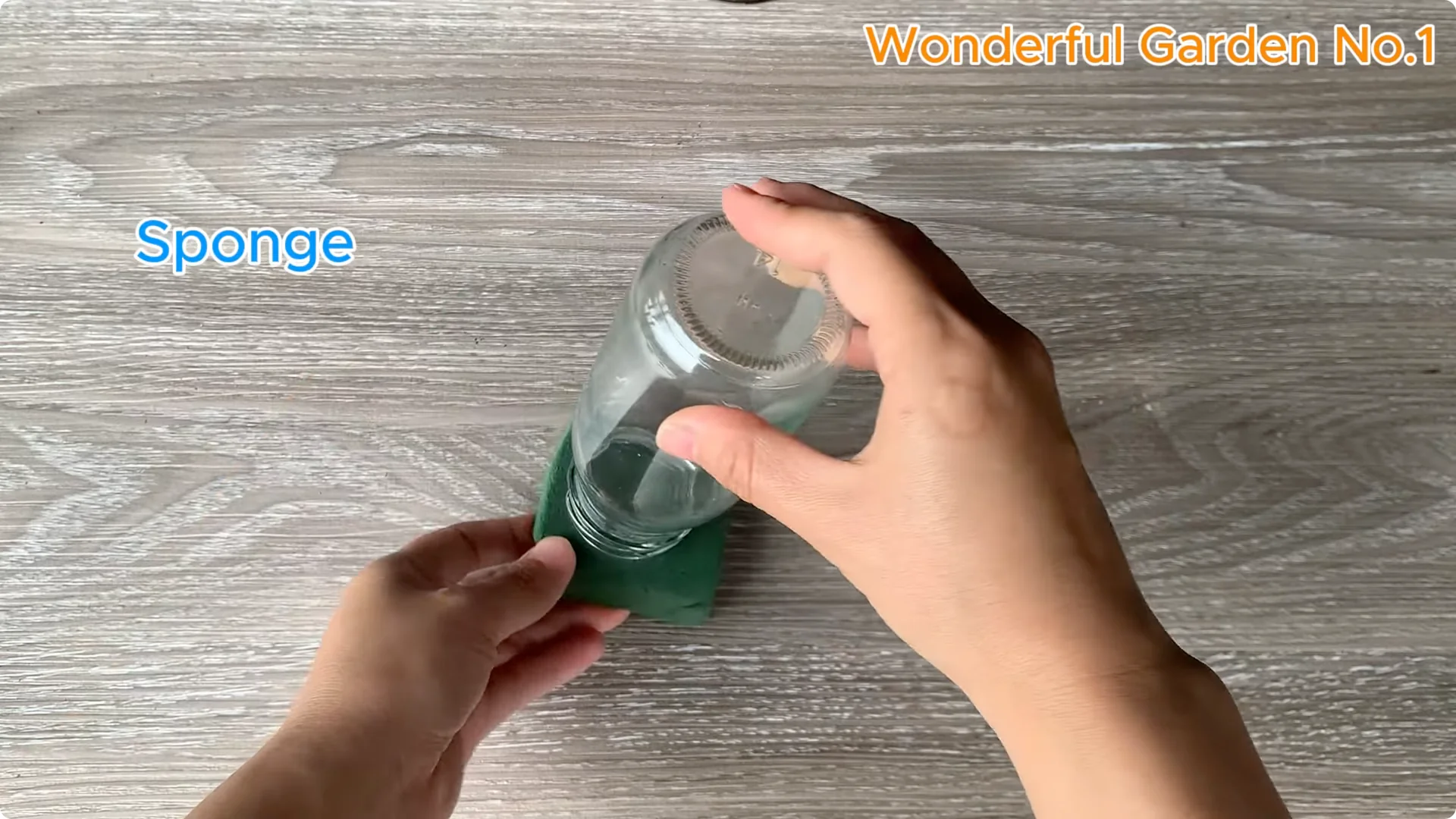 Discover This Unique Rose Propagation Method for Home Gardens screenshot 6