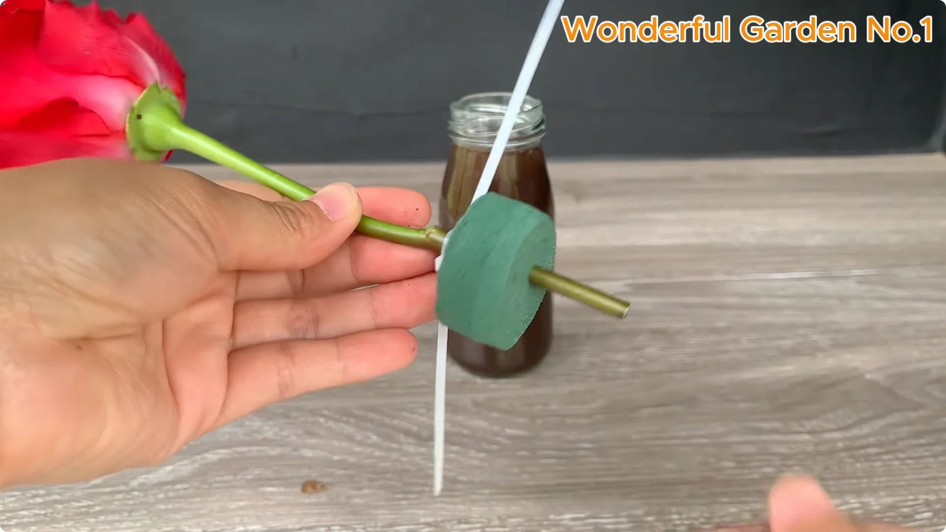 Discover This Unique Rose Propagation Method for Home Gardens screenshot 7