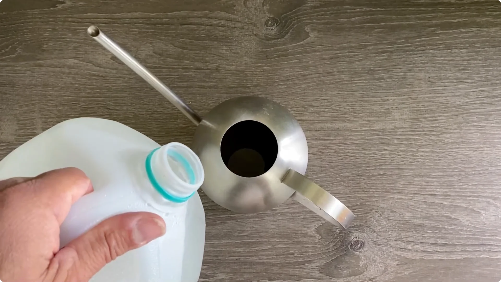 Essential Christmas Cactus Care for Blooming and Propagation screenshot 12