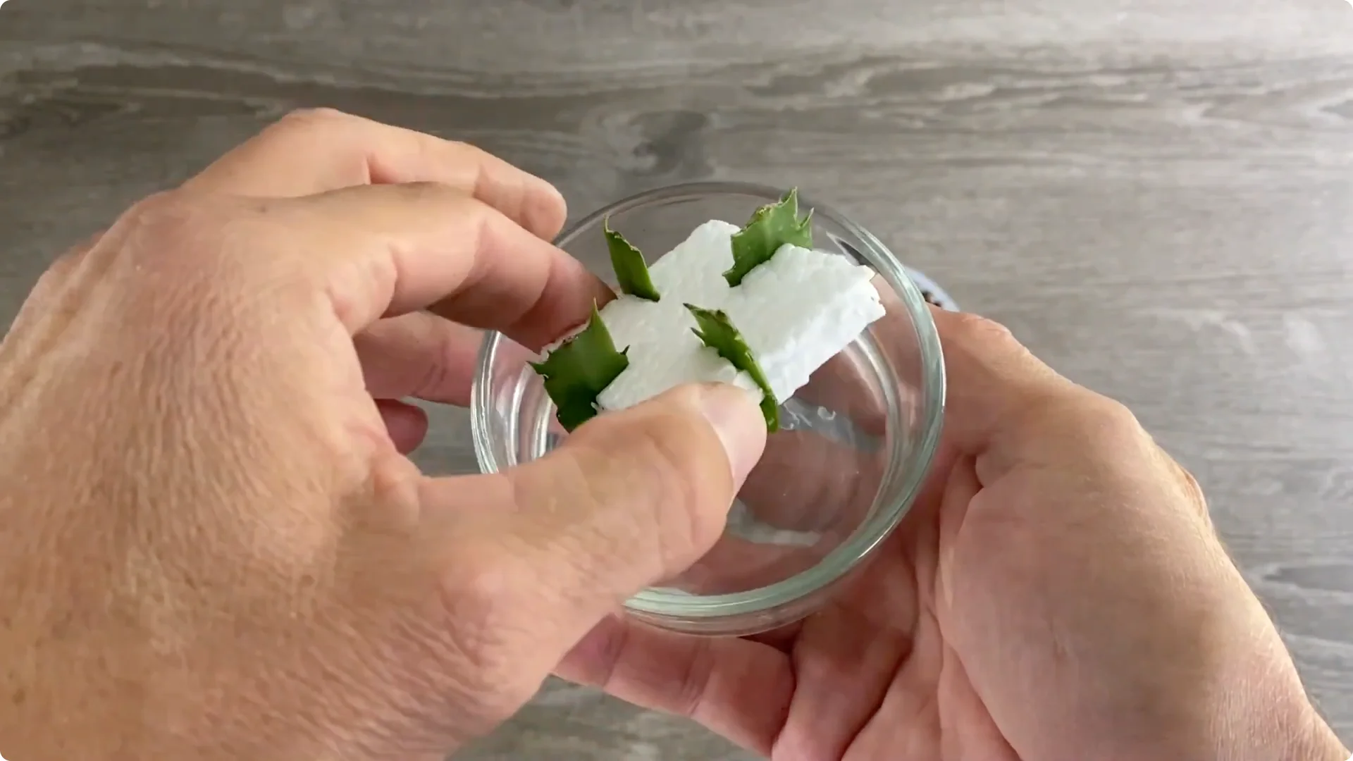Essential Christmas Cactus Care for Blooming and Propagation screenshot 30