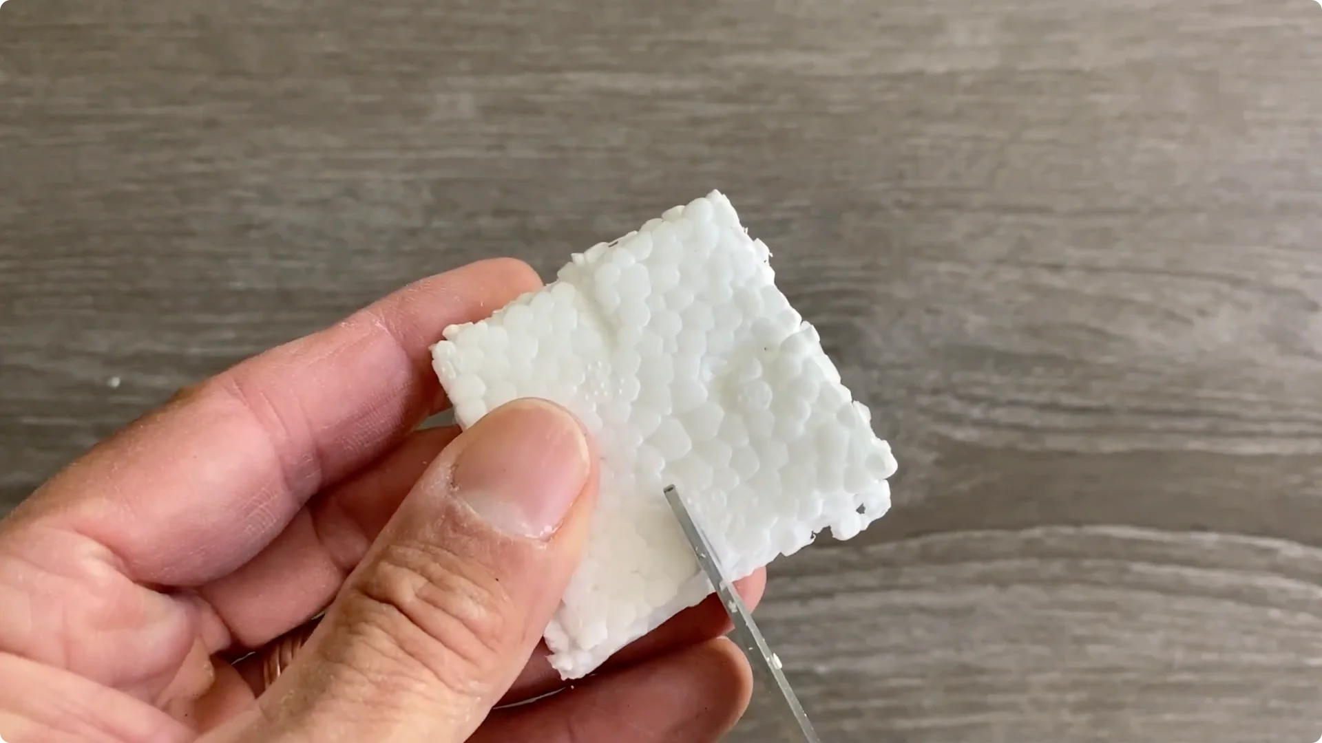 Essential Christmas Cactus Care for Blooming and Propagation screenshot 33