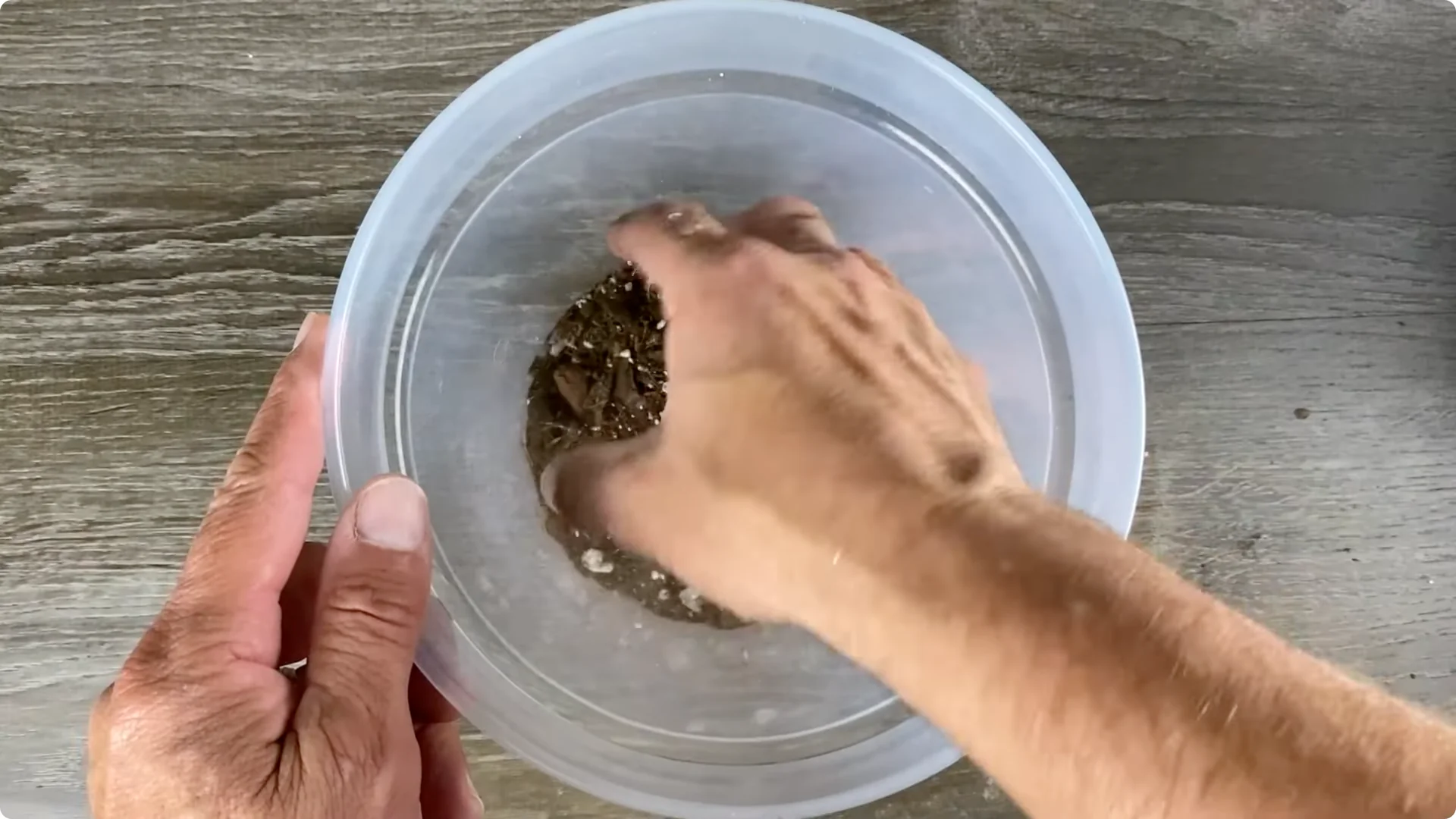 Fiddle Leaf Fig Care: 9 Essential Tips for Thriving Plants screenshot 6