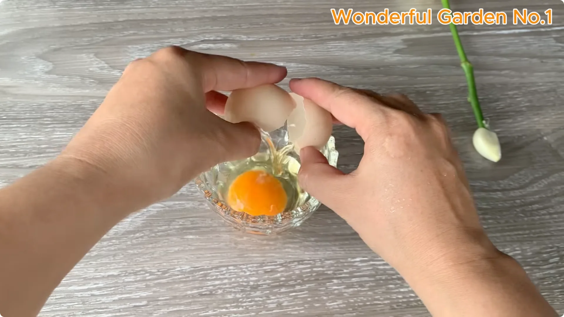 How a Rose Branch Grows 1001 Roots Overnight in an Egg screenshot 3