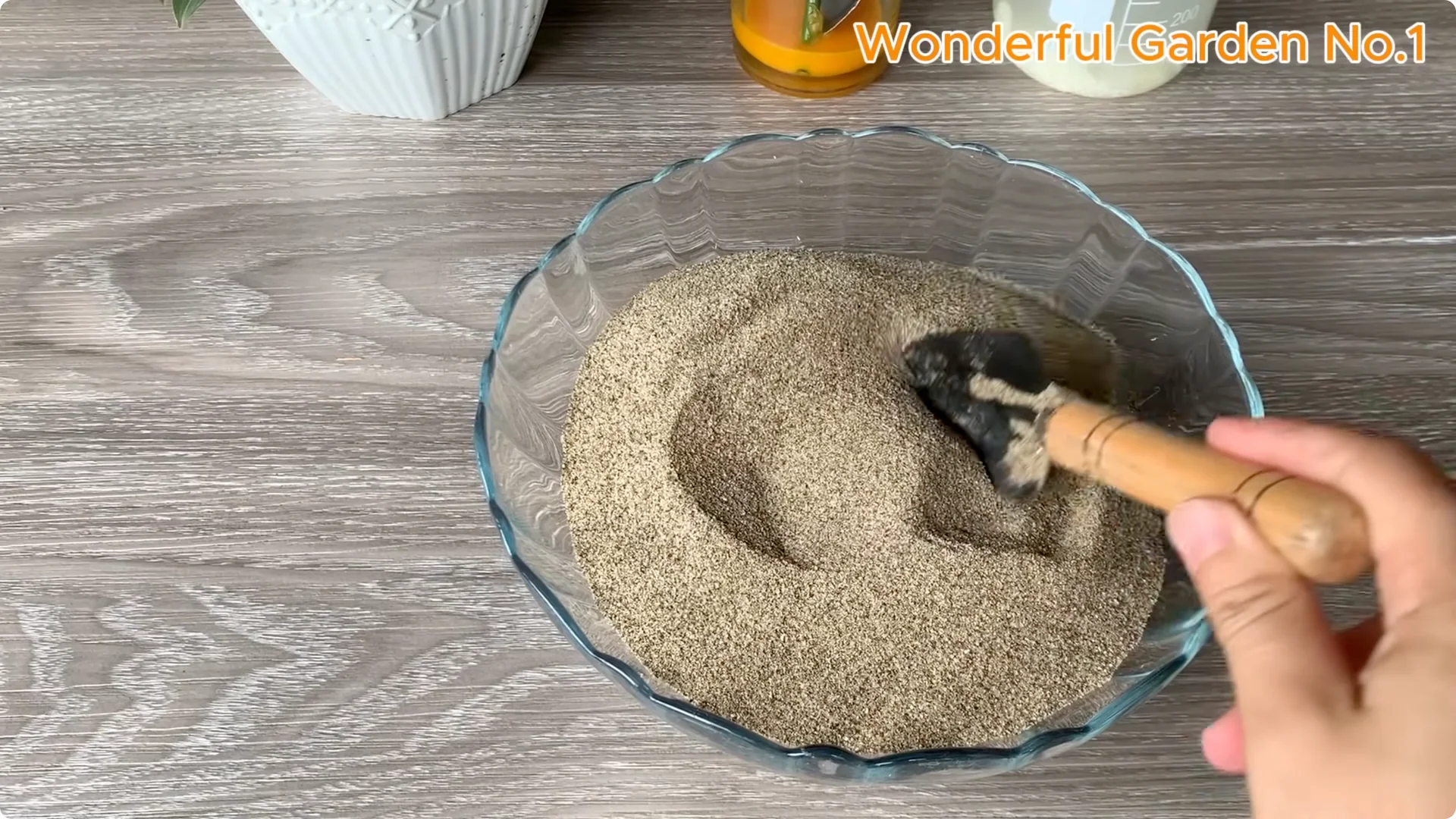 How a Rose Branch Grows 1001 Roots Overnight in an Egg screenshot 5