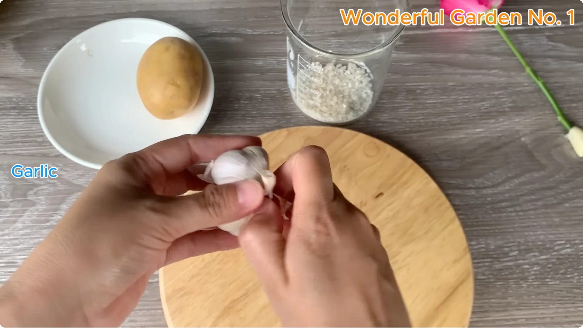 How a Rose in a Potato Grows 99 Roots Overnight screenshot 10