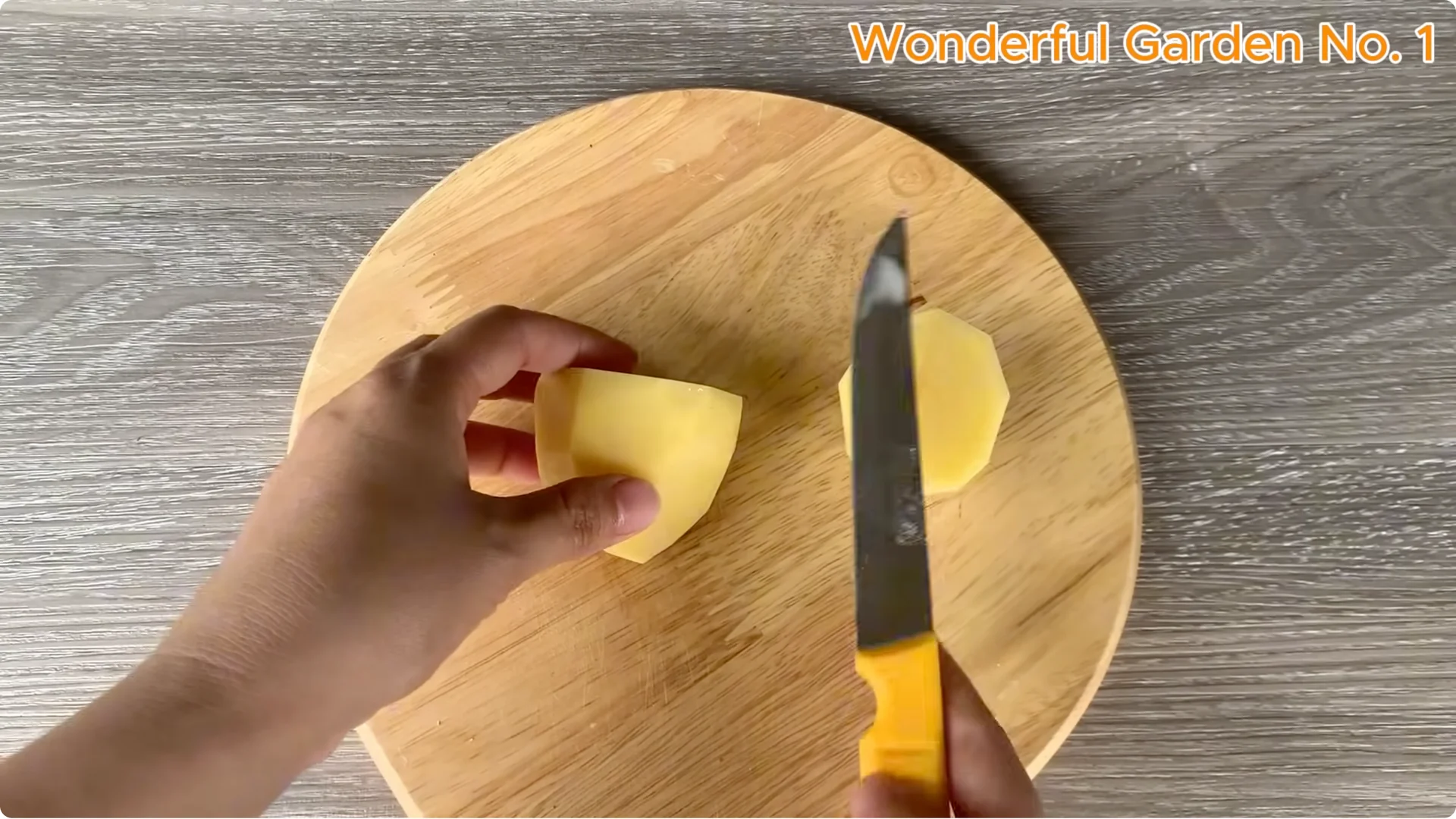 How a Rose in a Potato Grows 99 Roots Overnight screenshot 14