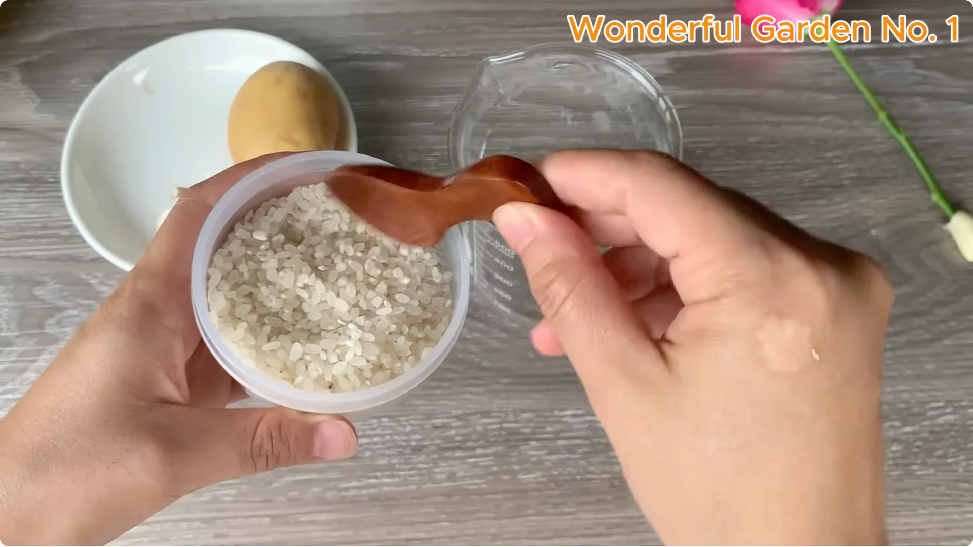 How a Rose in a Potato Grows 99 Roots Overnight screenshot 9