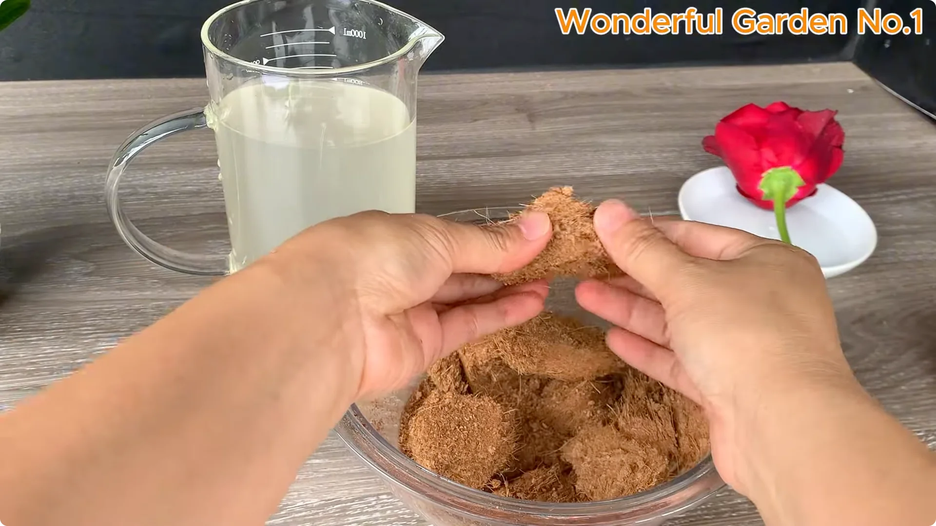 How Apples Unlock the Secret to Growing Unique Roses screenshot 10