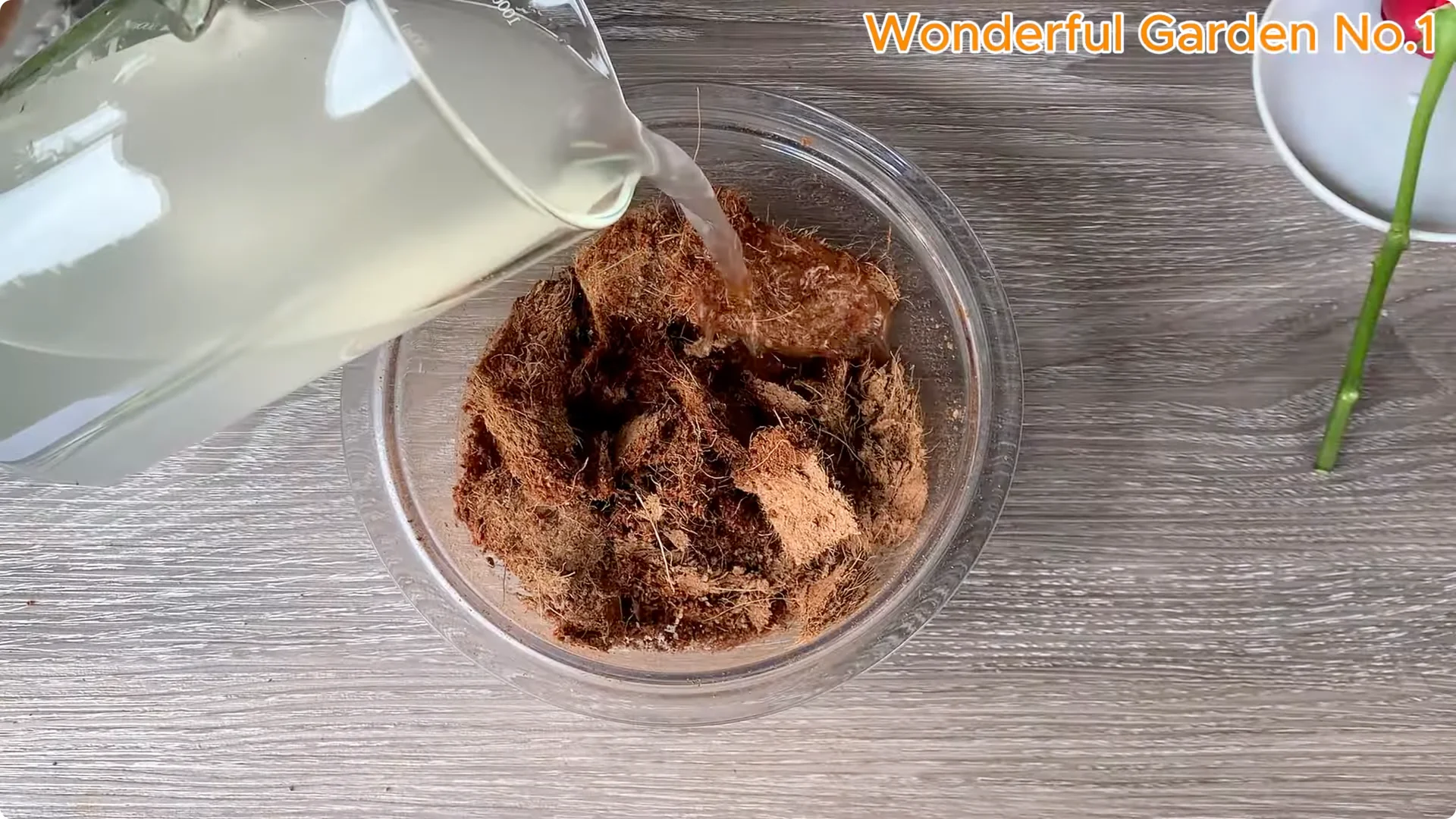 How Apples Unlock the Secret to Growing Unique Roses screenshot 11