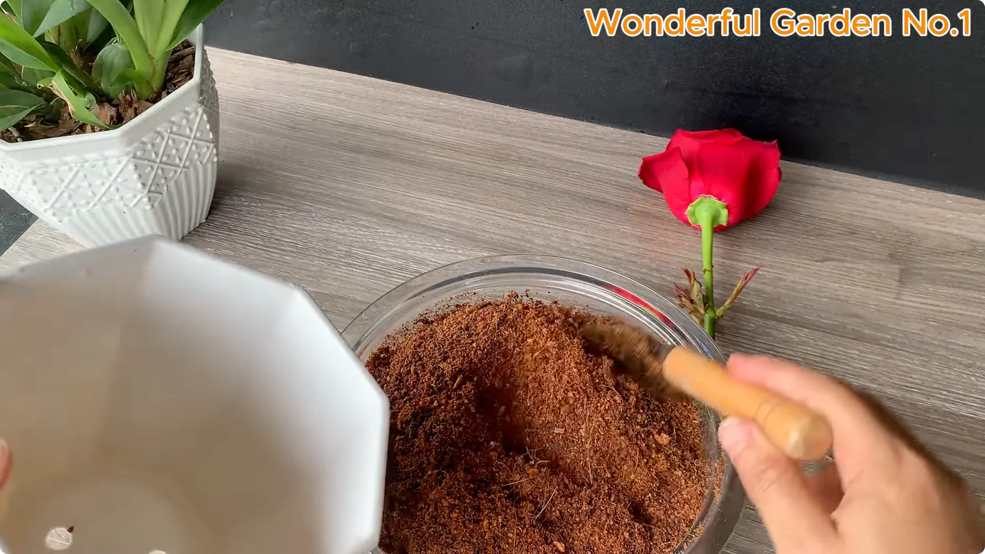 How Apples Unlock the Secret to Growing Unique Roses screenshot 16