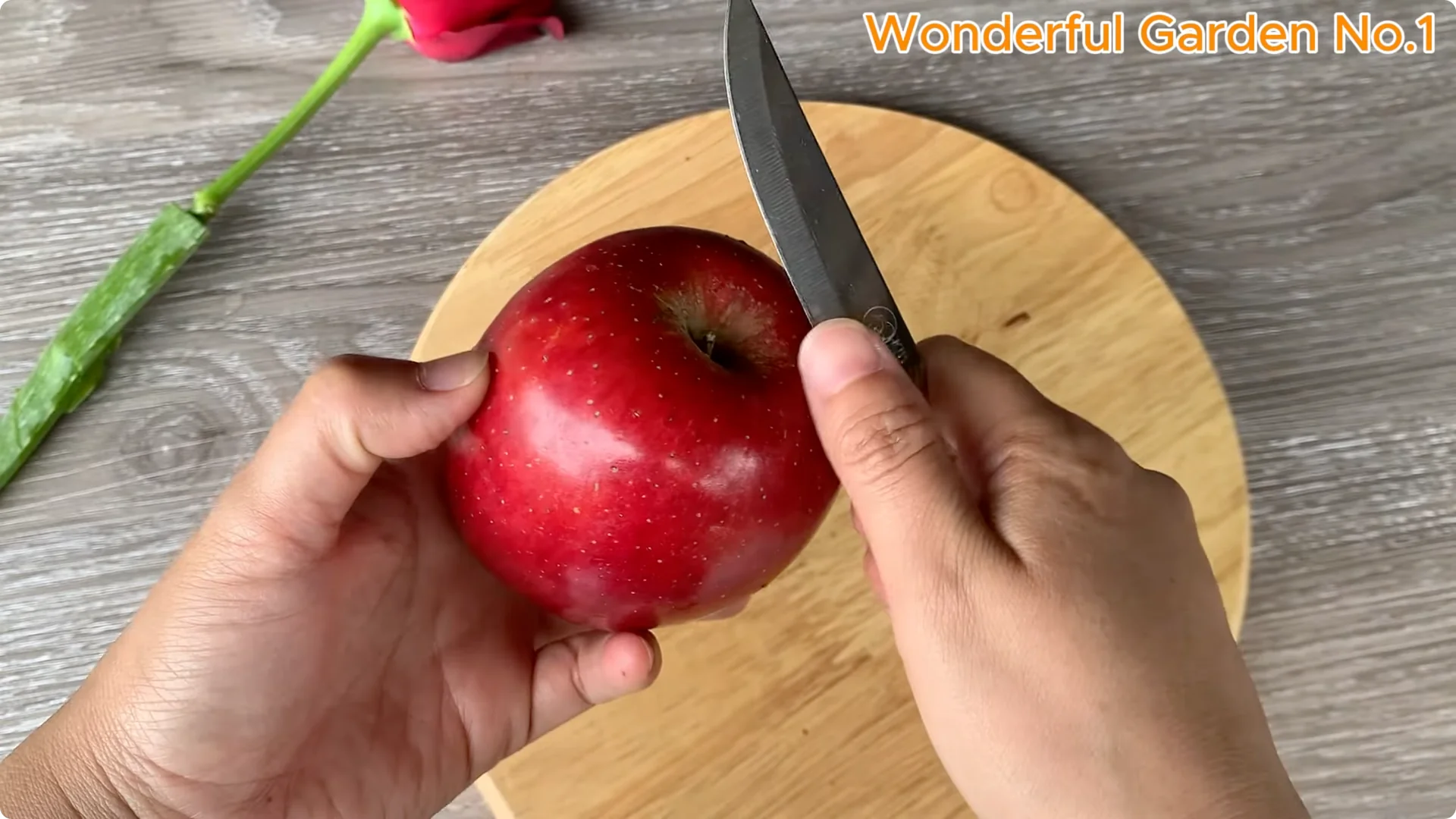 How Apples Unlock the Secret to Growing Unique Roses screenshot 4