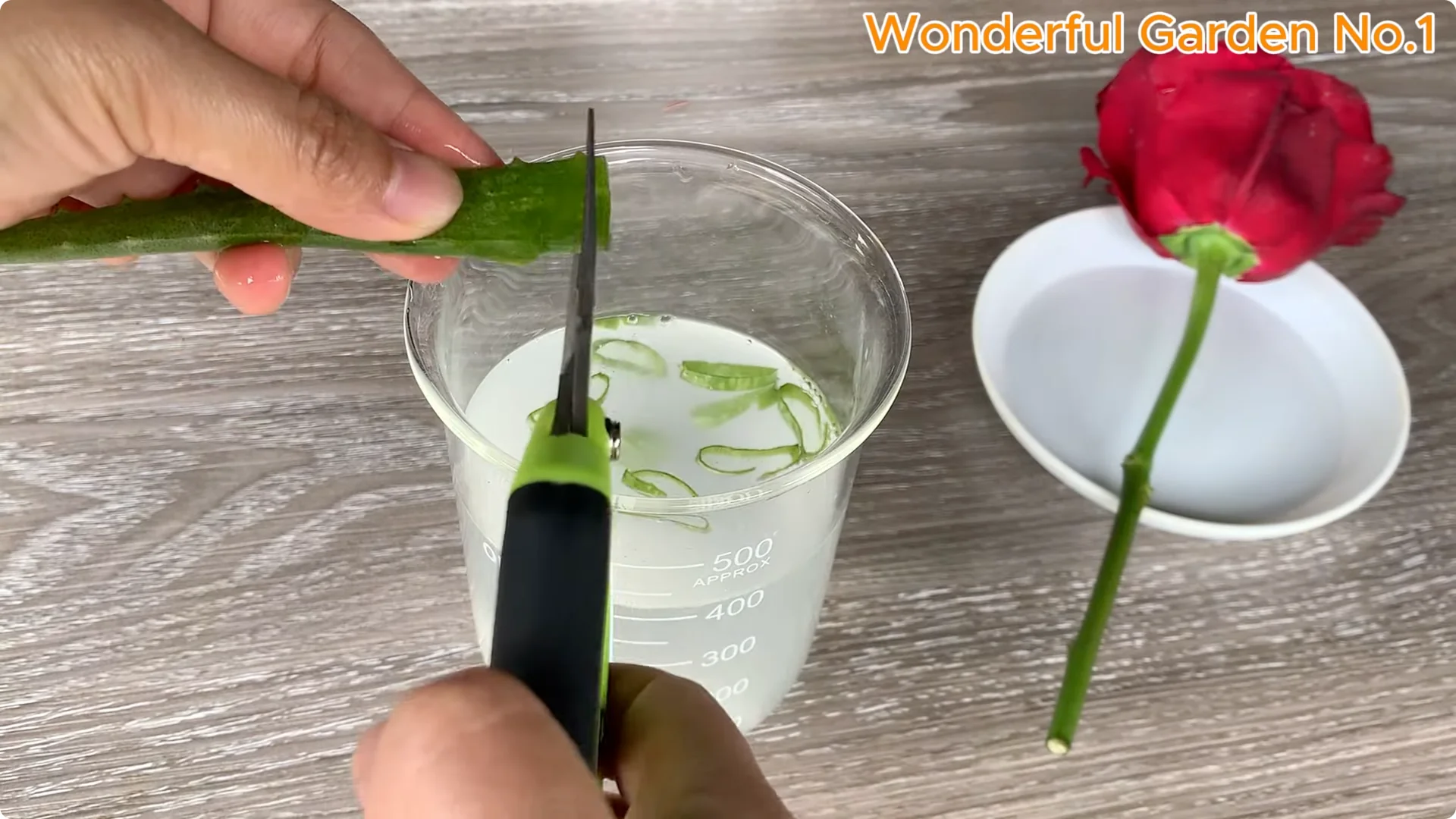 How Apples Unlock the Secret to Growing Unique Roses screenshot 8