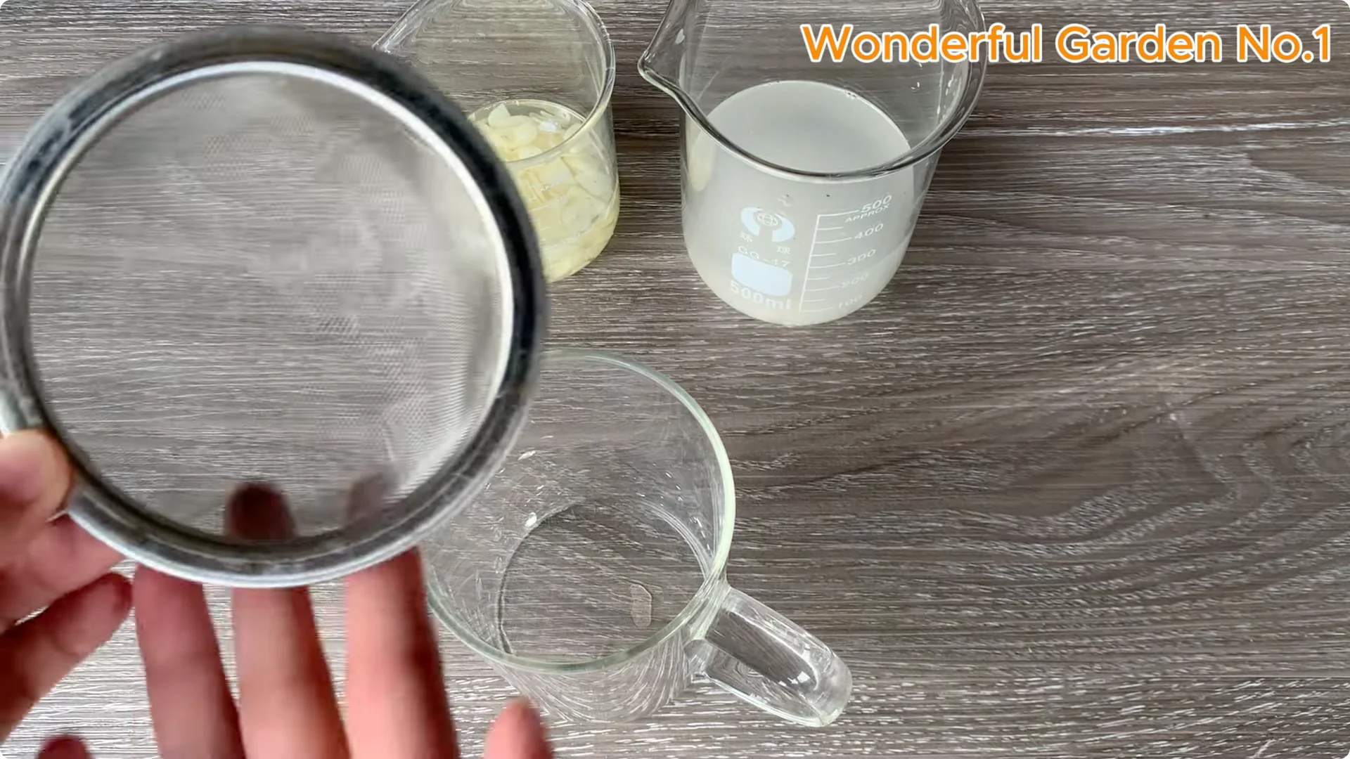 How Beer Boosts Root Growth in Rose Cuttings screenshot 11