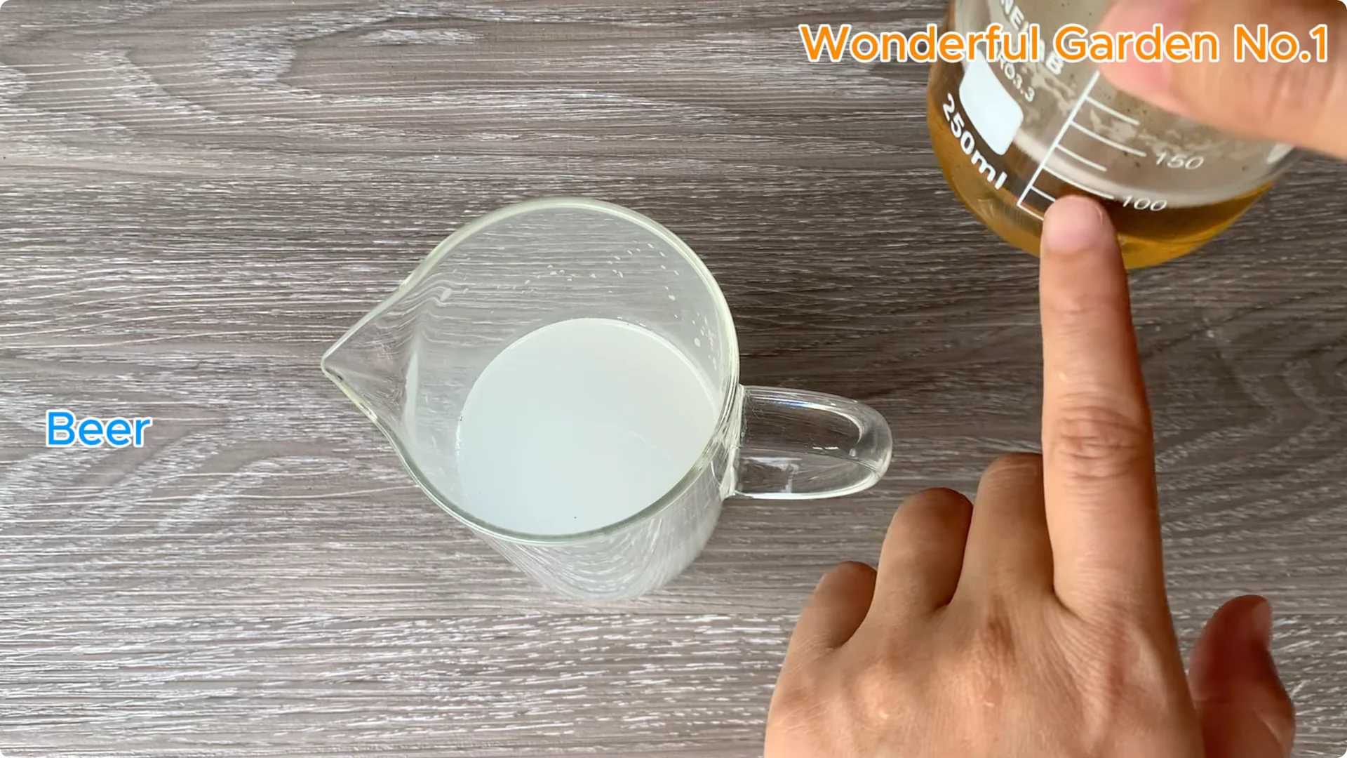 How Beer Boosts Root Growth in Rose Cuttings screenshot 12