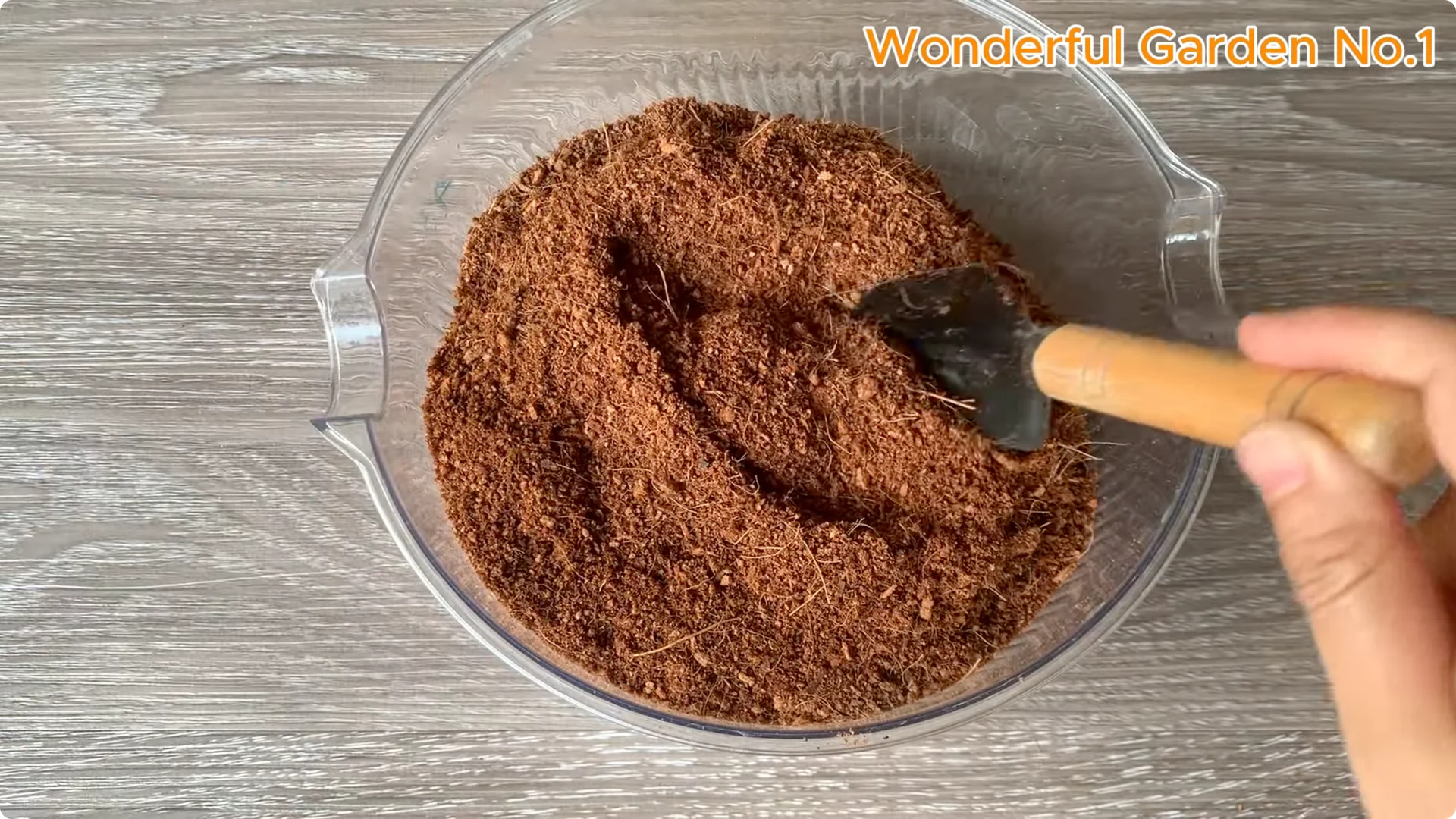 How Beer Boosts Root Growth in Rose Cuttings screenshot 19