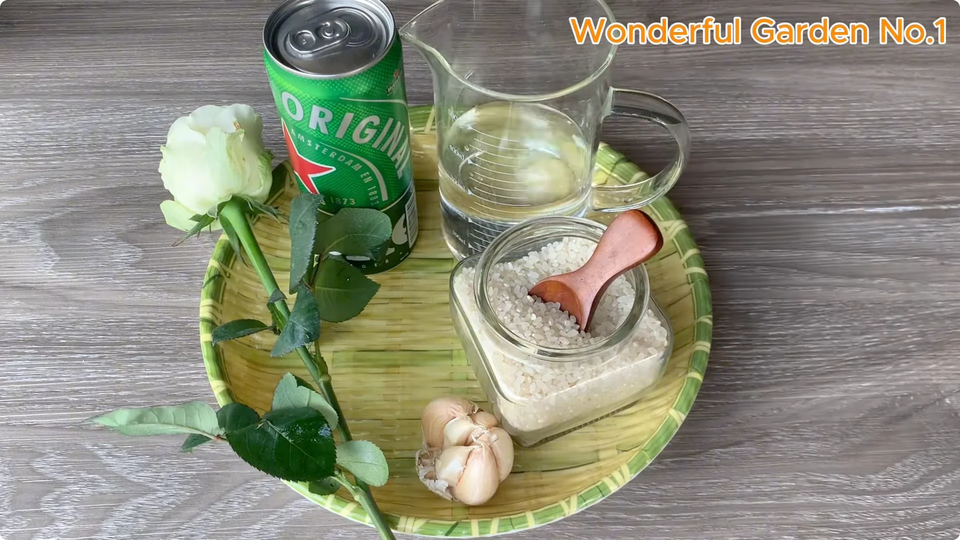 How Beer Boosts Root Growth in Rose Cuttings screenshot 7