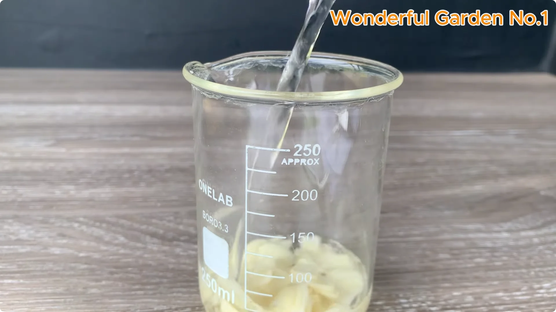 How Beer Boosts Root Growth in Rose Cuttings screenshot 9