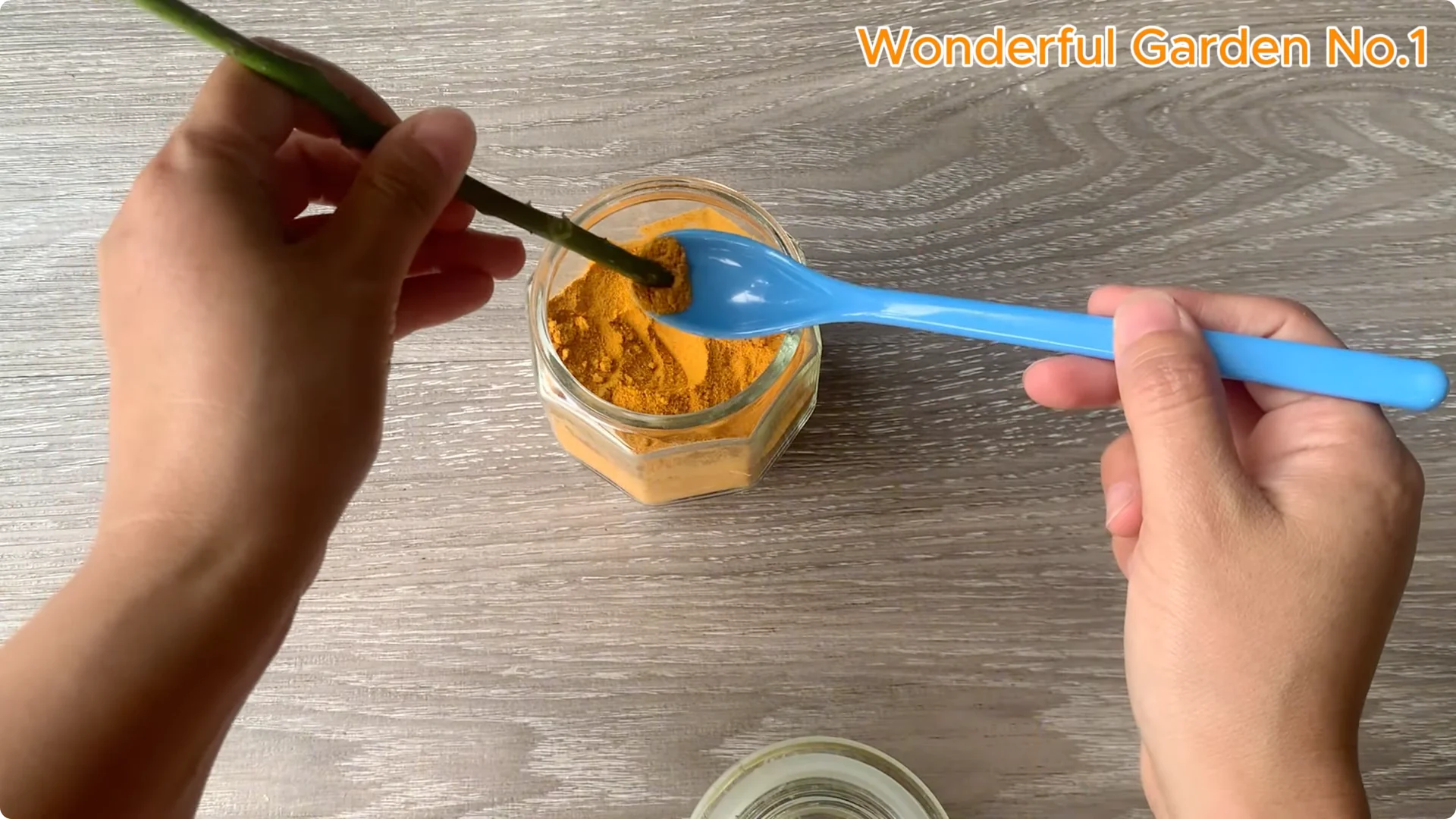 How Did Just Tea! Orange Rose Grow 999 Roots Overnight? screenshot 5