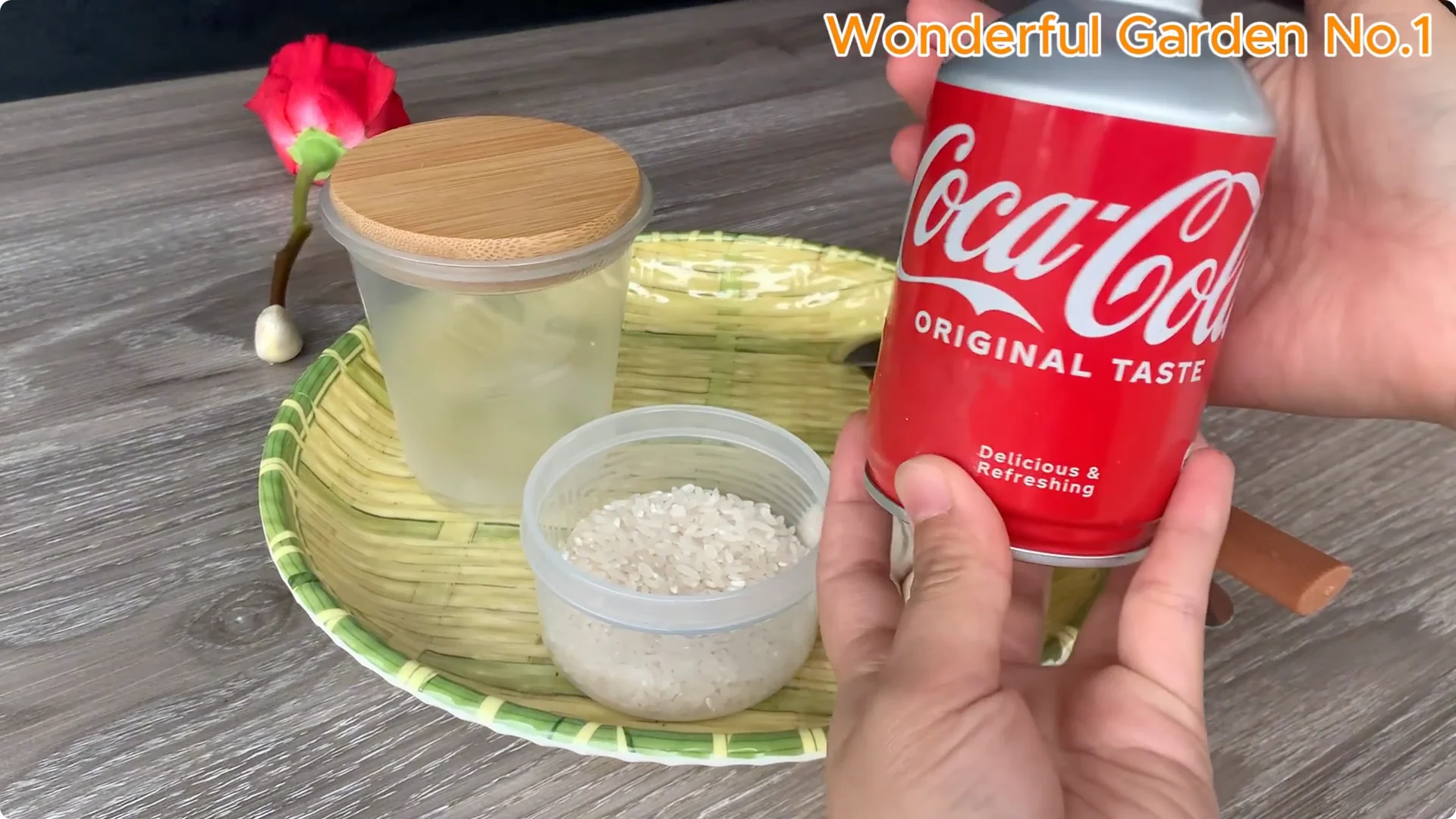 How Does Coca-Cola Help You Propagate Roses Easily? screenshot 3