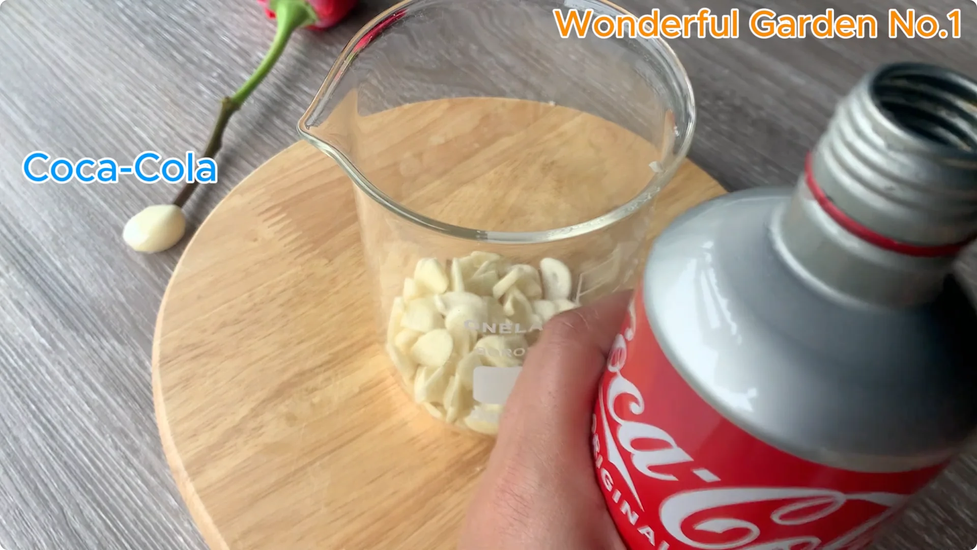 How Does Coca-Cola Help You Propagate Roses Easily? screenshot 4