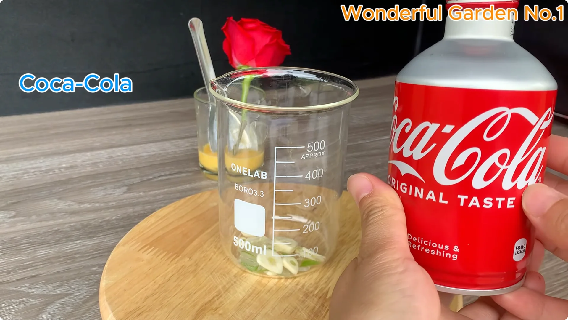 How Eggs Unlock a Simple, Effective Way to Propagate Roses screenshot 5