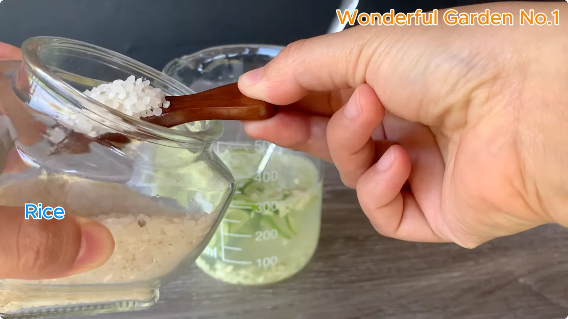 How Garlic Can Transform Your Rose Branch Overnight screenshot 12