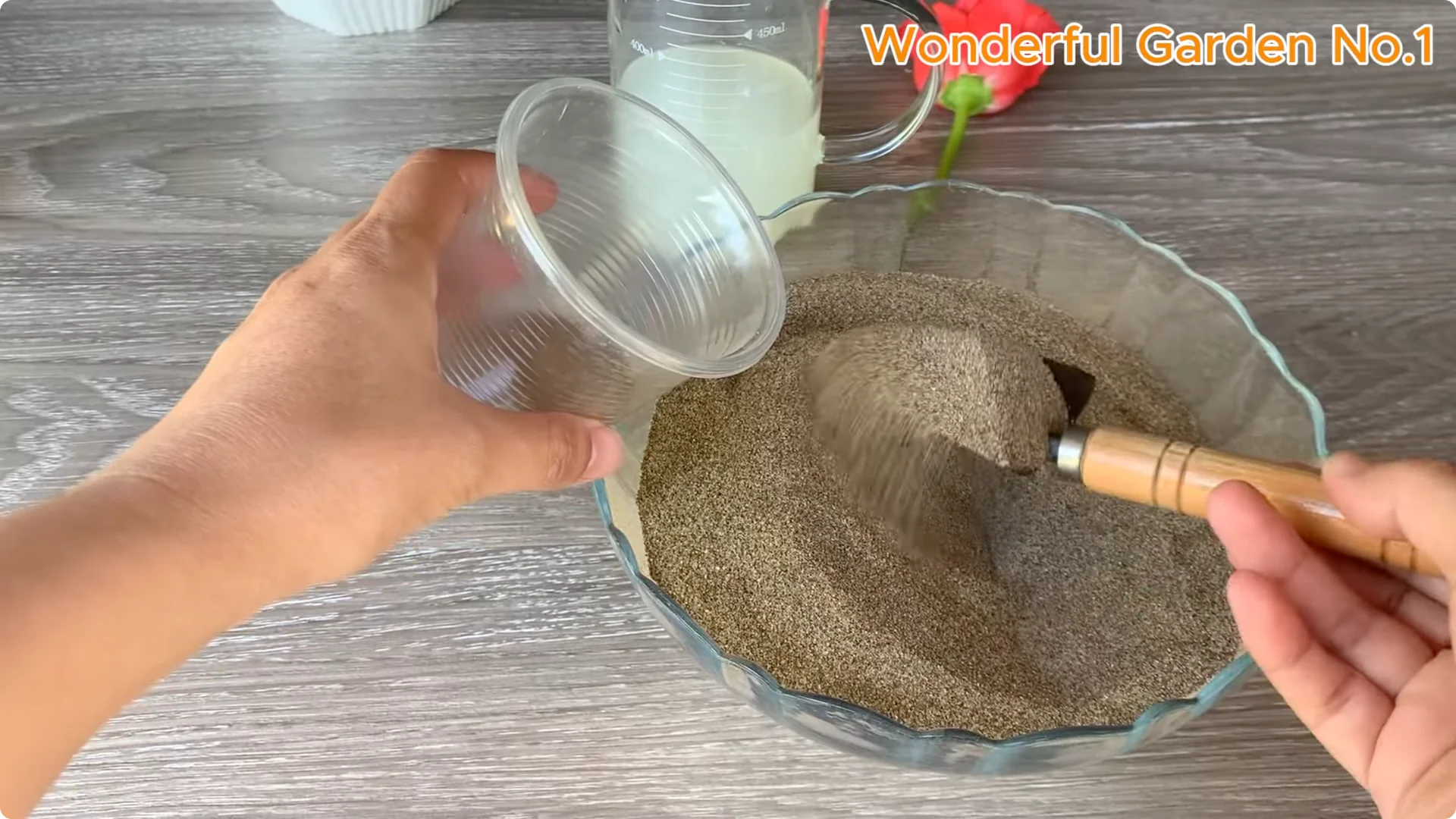 How Garlic Can Transform Your Rose Branch Overnight screenshot 16