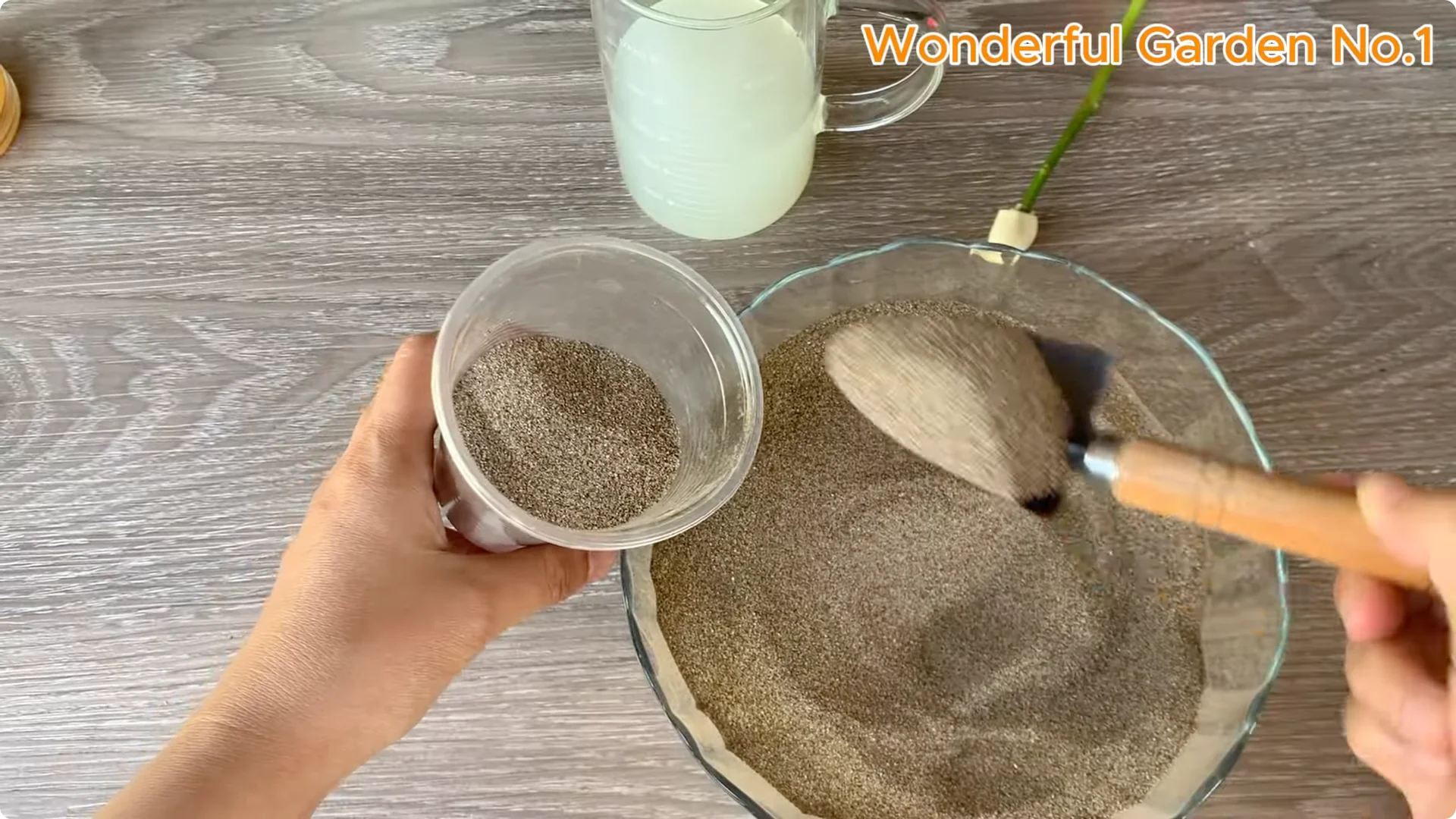 How Garlic Can Transform Your Rose Branch Overnight screenshot 17