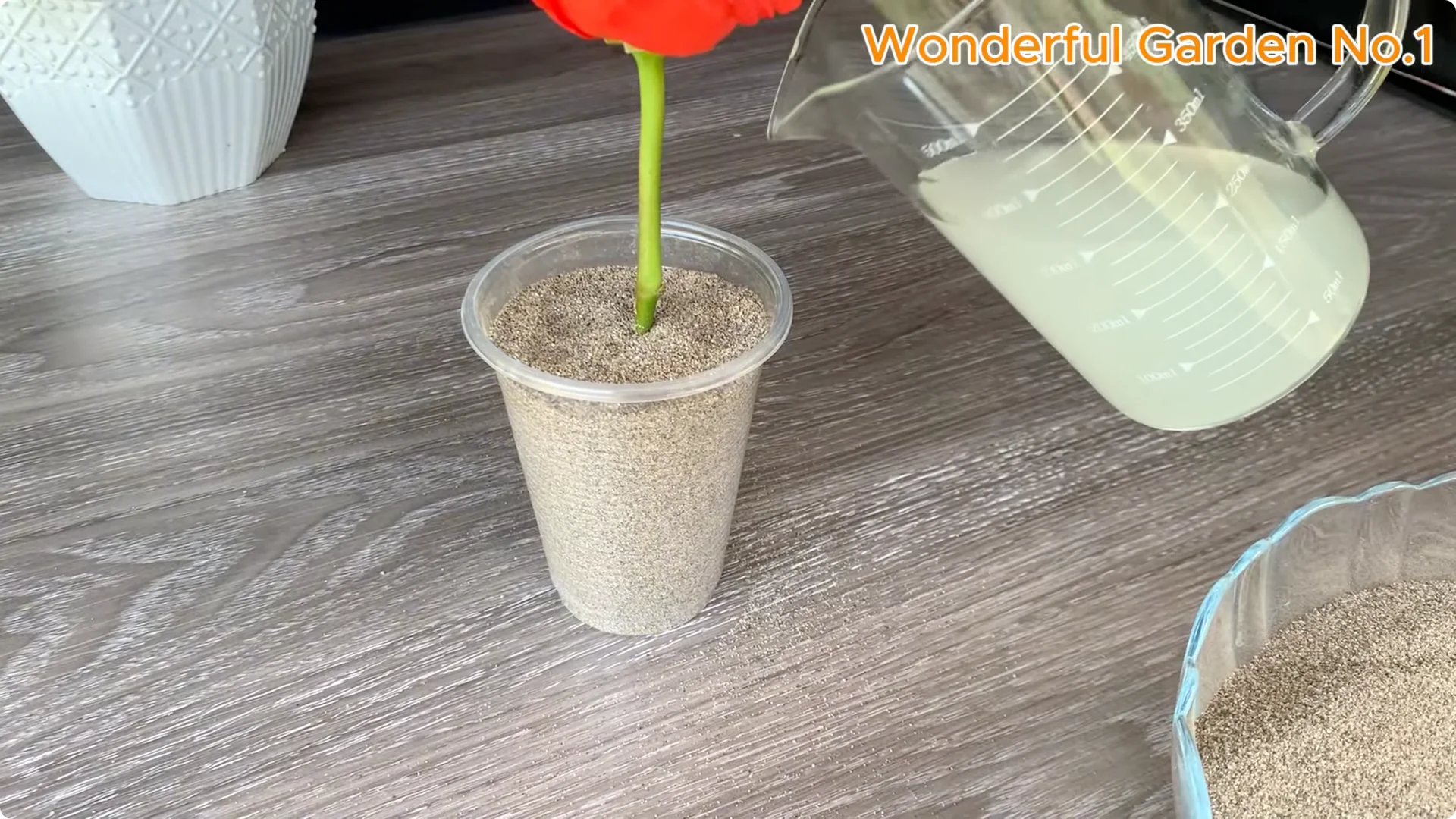 How Garlic Can Transform Your Rose Branch Overnight screenshot 19