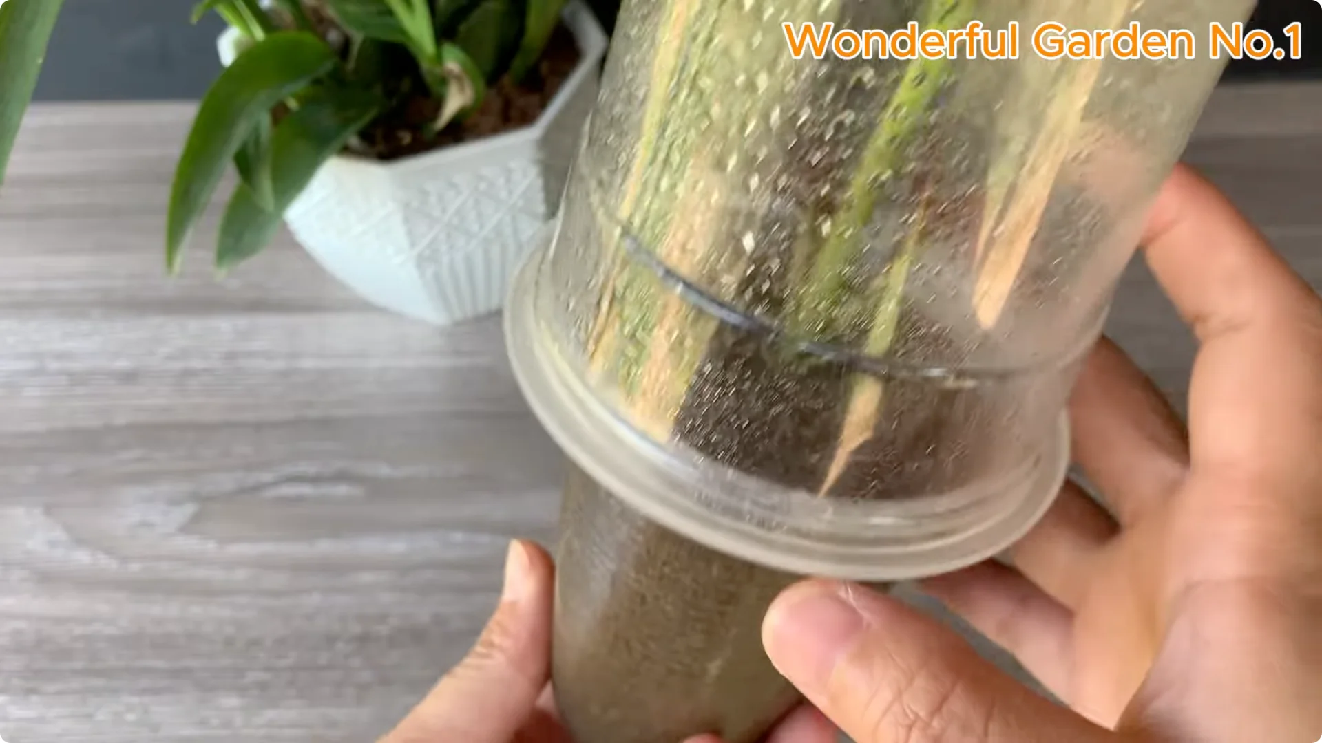 How Garlic Can Transform Your Rose Branch Overnight screenshot 22