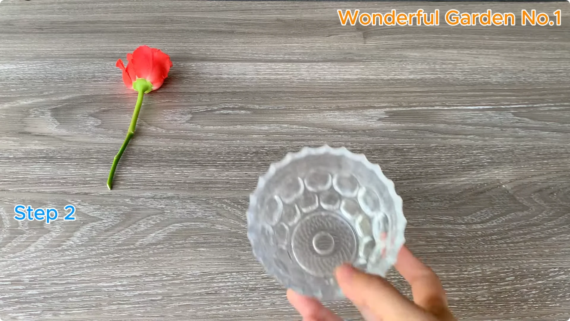 How Garlic Can Transform Your Rose Branch Overnight screenshot 5