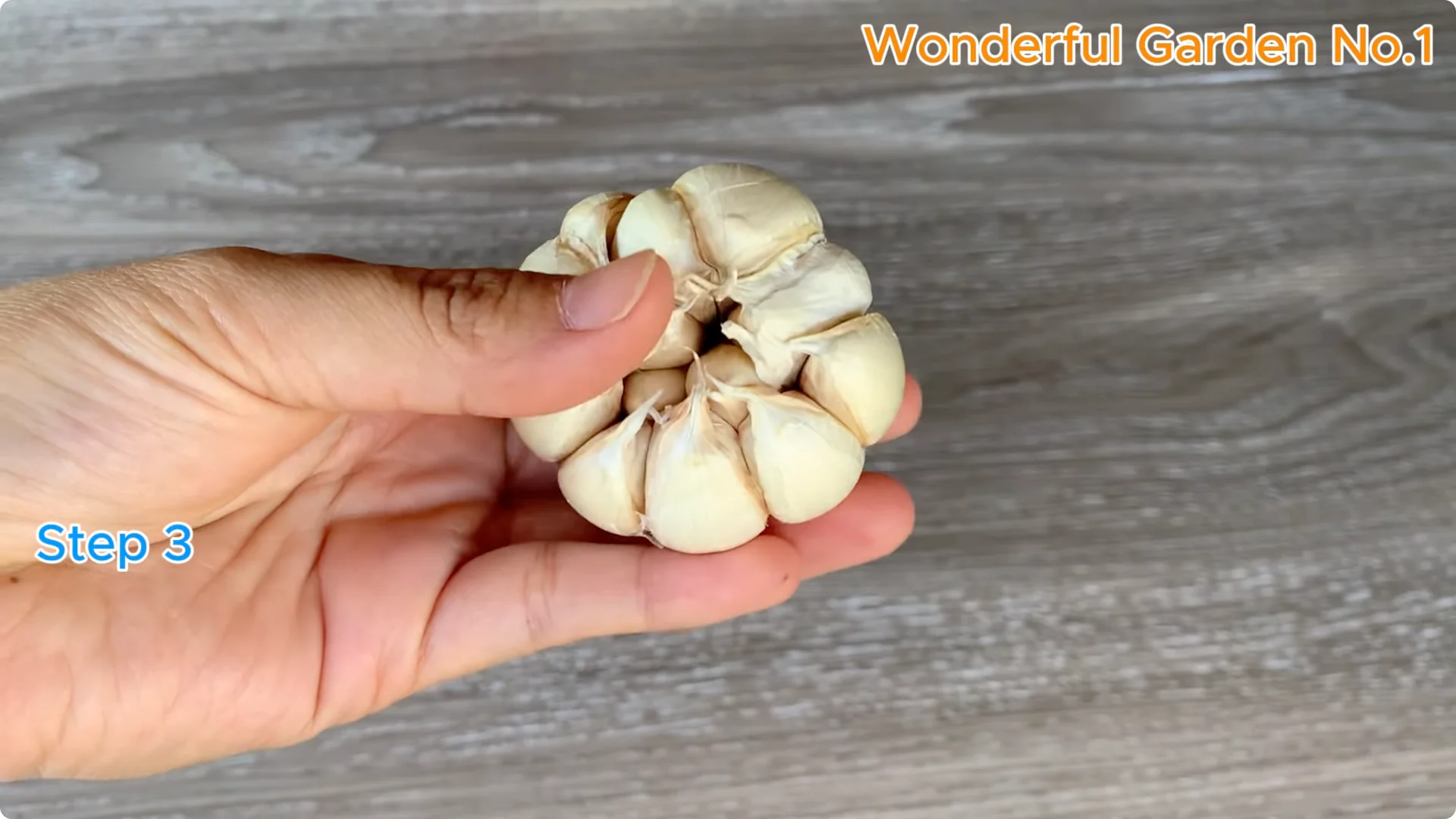 How Garlic Can Transform Your Rose Branch Overnight screenshot 8